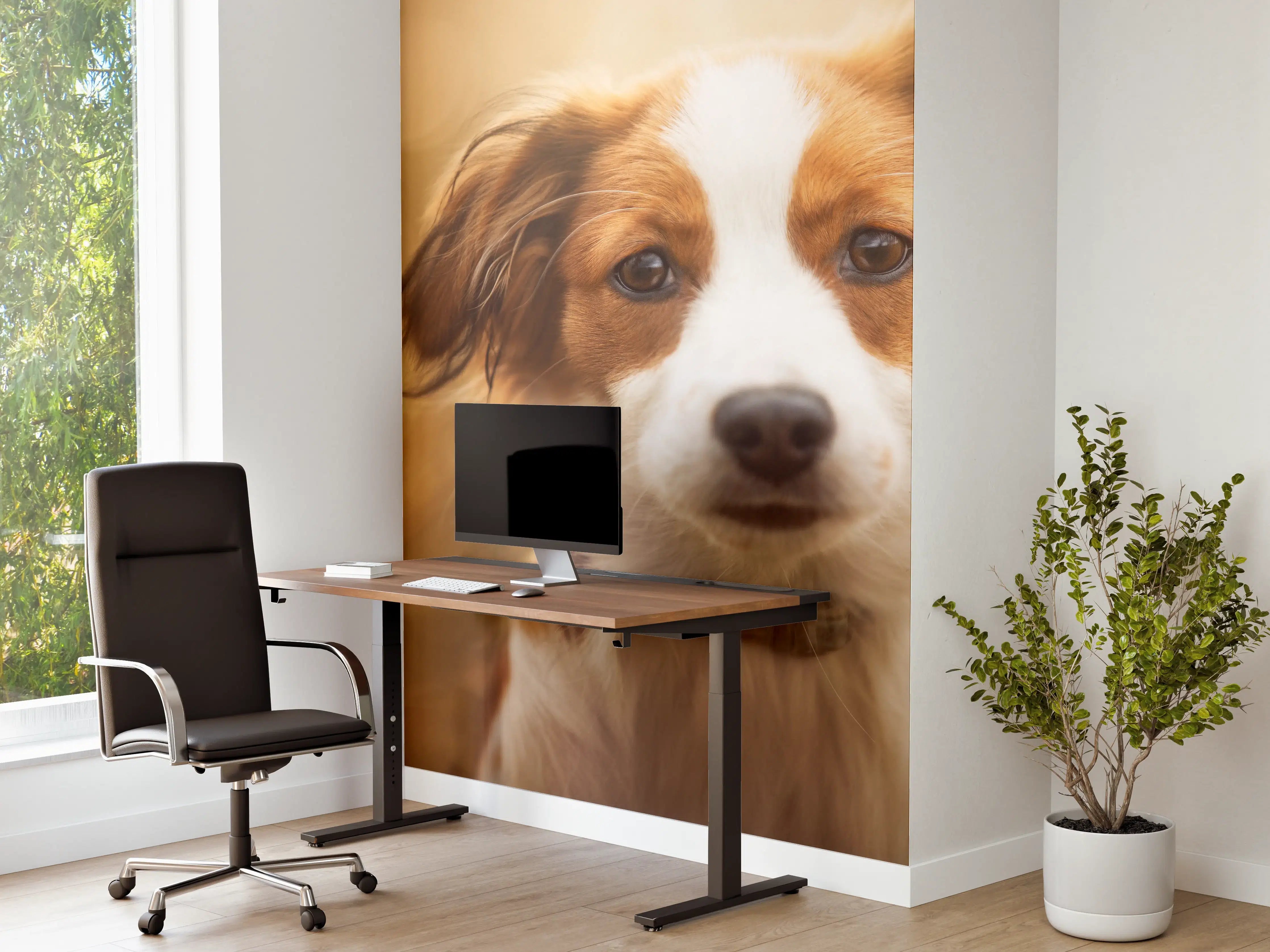 Büro Wandgestaltung - Portrait eines süßen Kooiker Hundes