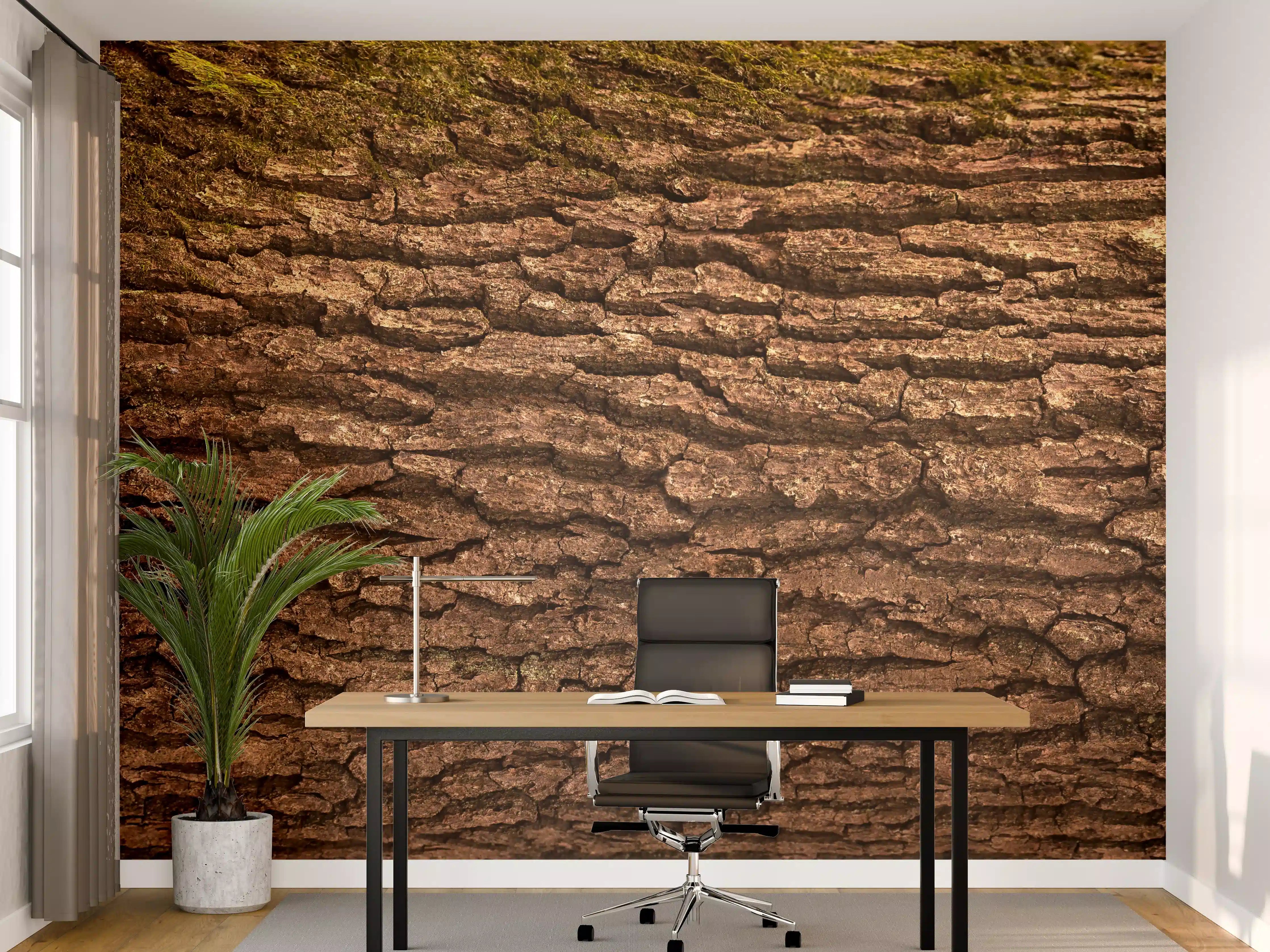 Büro Wandgestaltung - Prachtvolle Eichen-Baumrinde Panorama