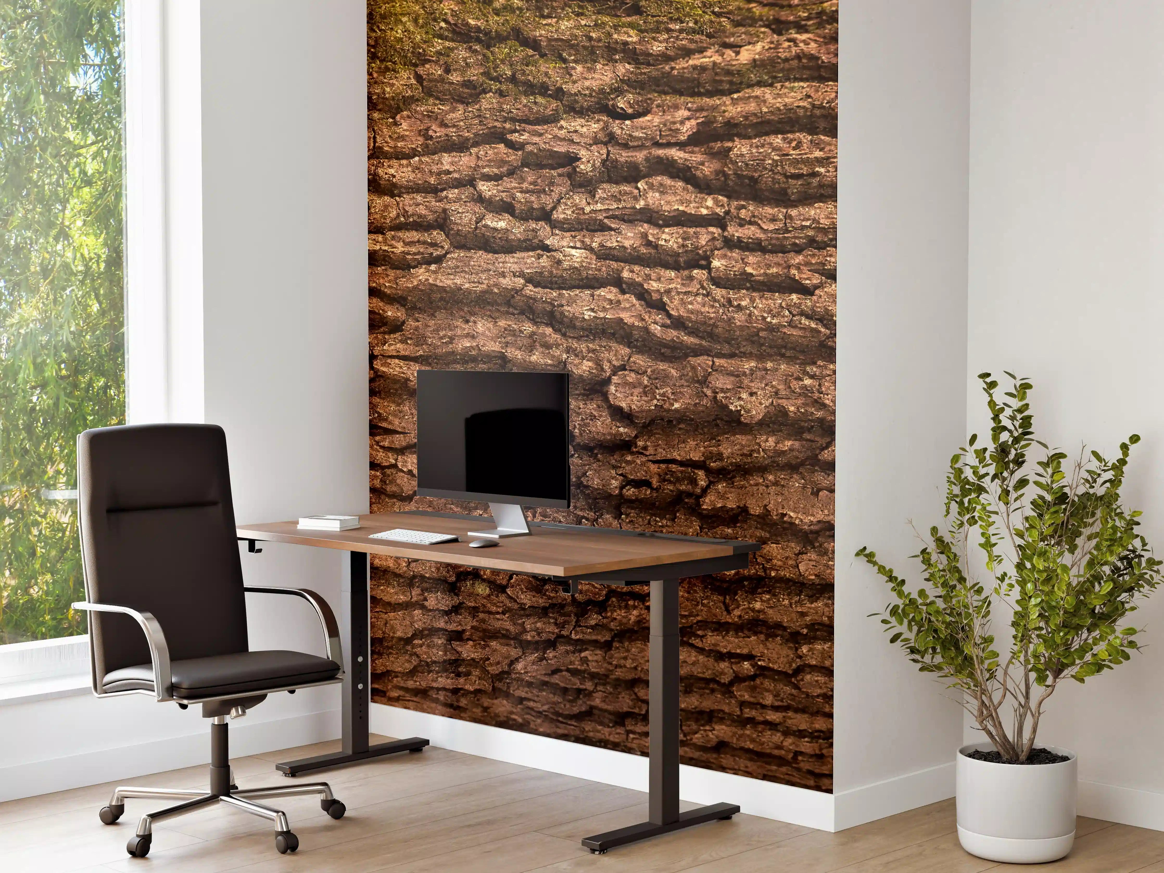 Büro Wandgestaltung - Prachtvolle Eichen-Baumrinde Panorama
