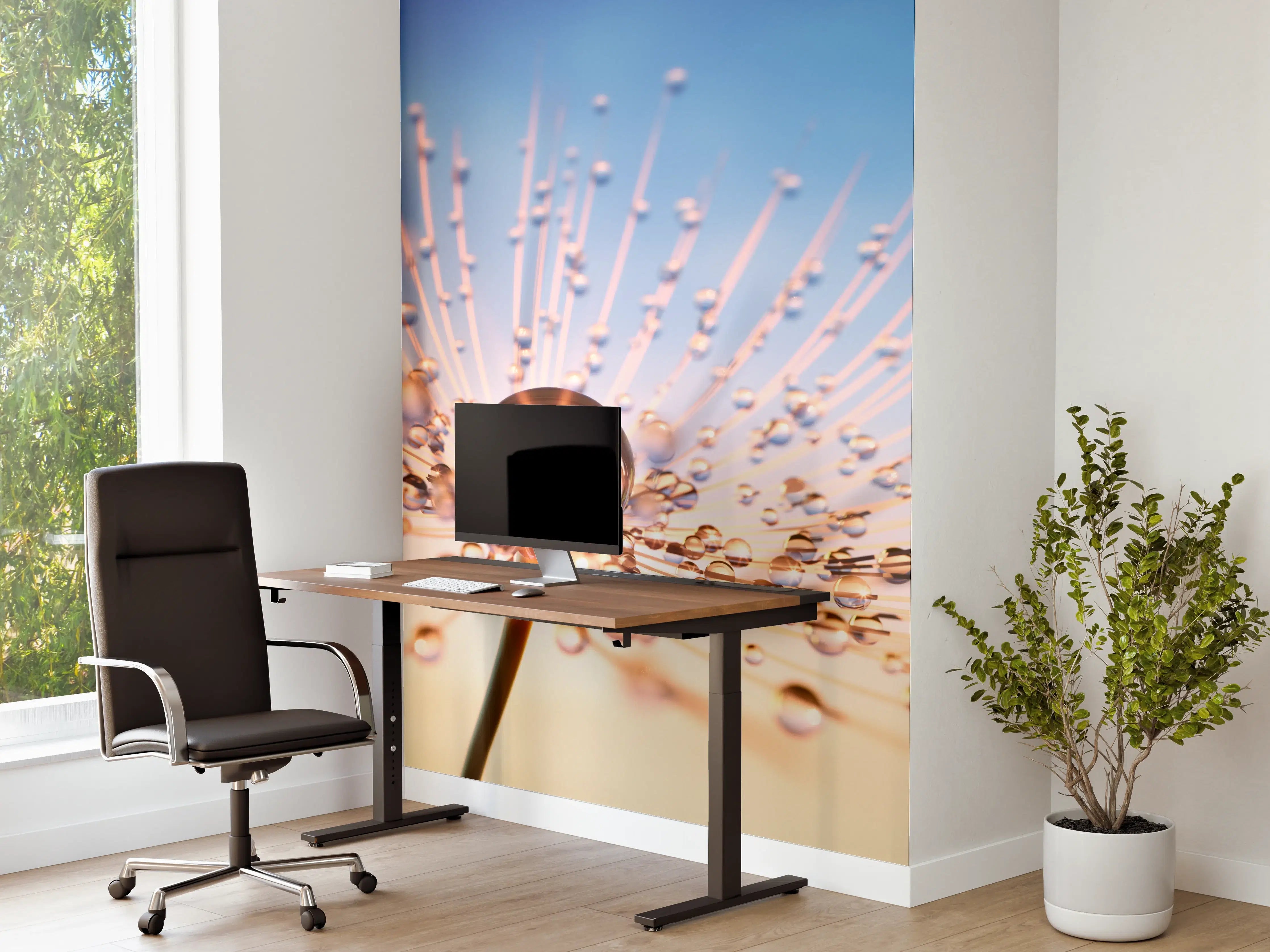Büro Wandgestaltung - Pusteblume in Nahaufnahme mit Tautropfen