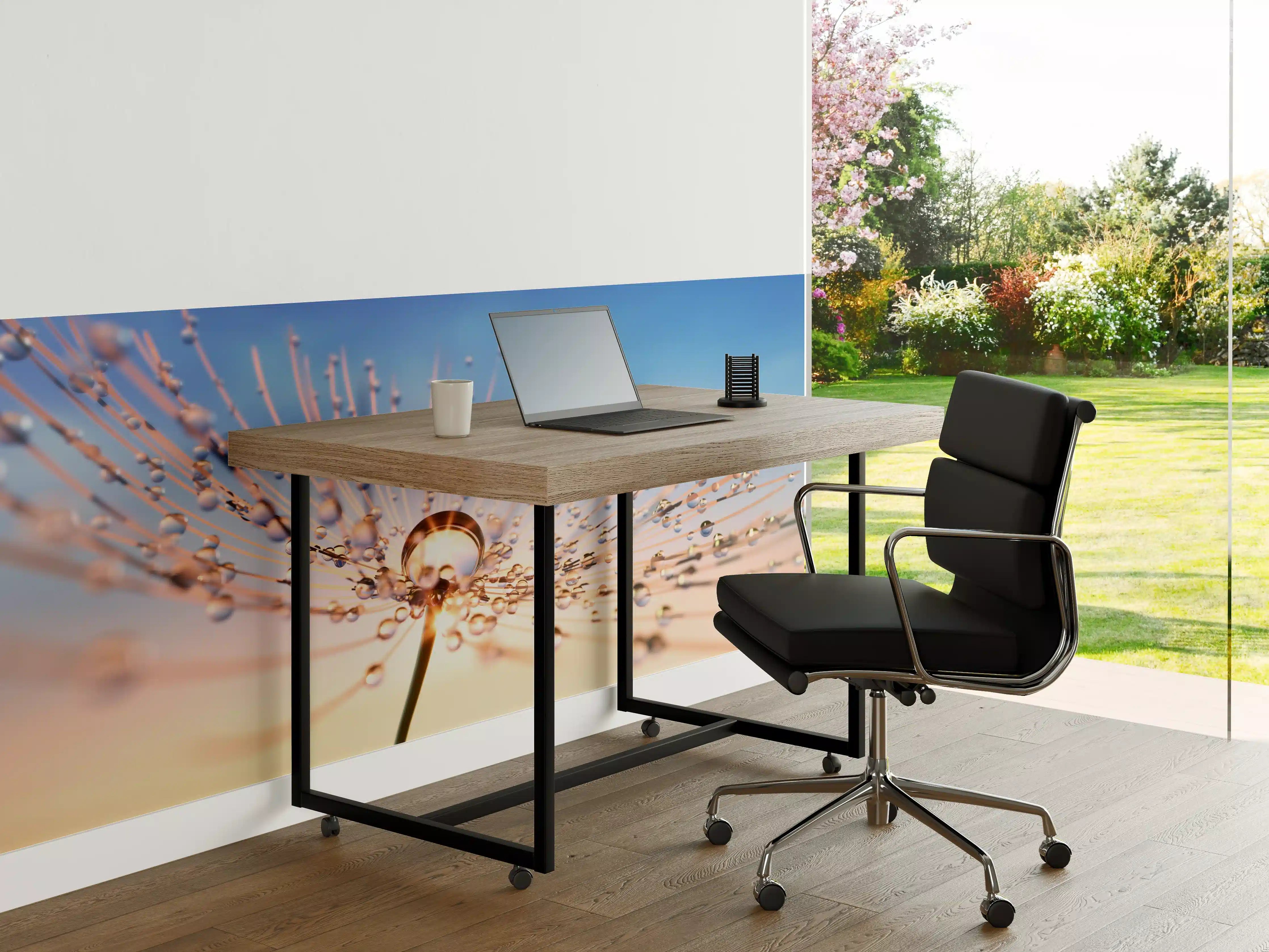 Büro Wandgestaltung - Pusteblume in Nahaufnahme mit Tautropfen