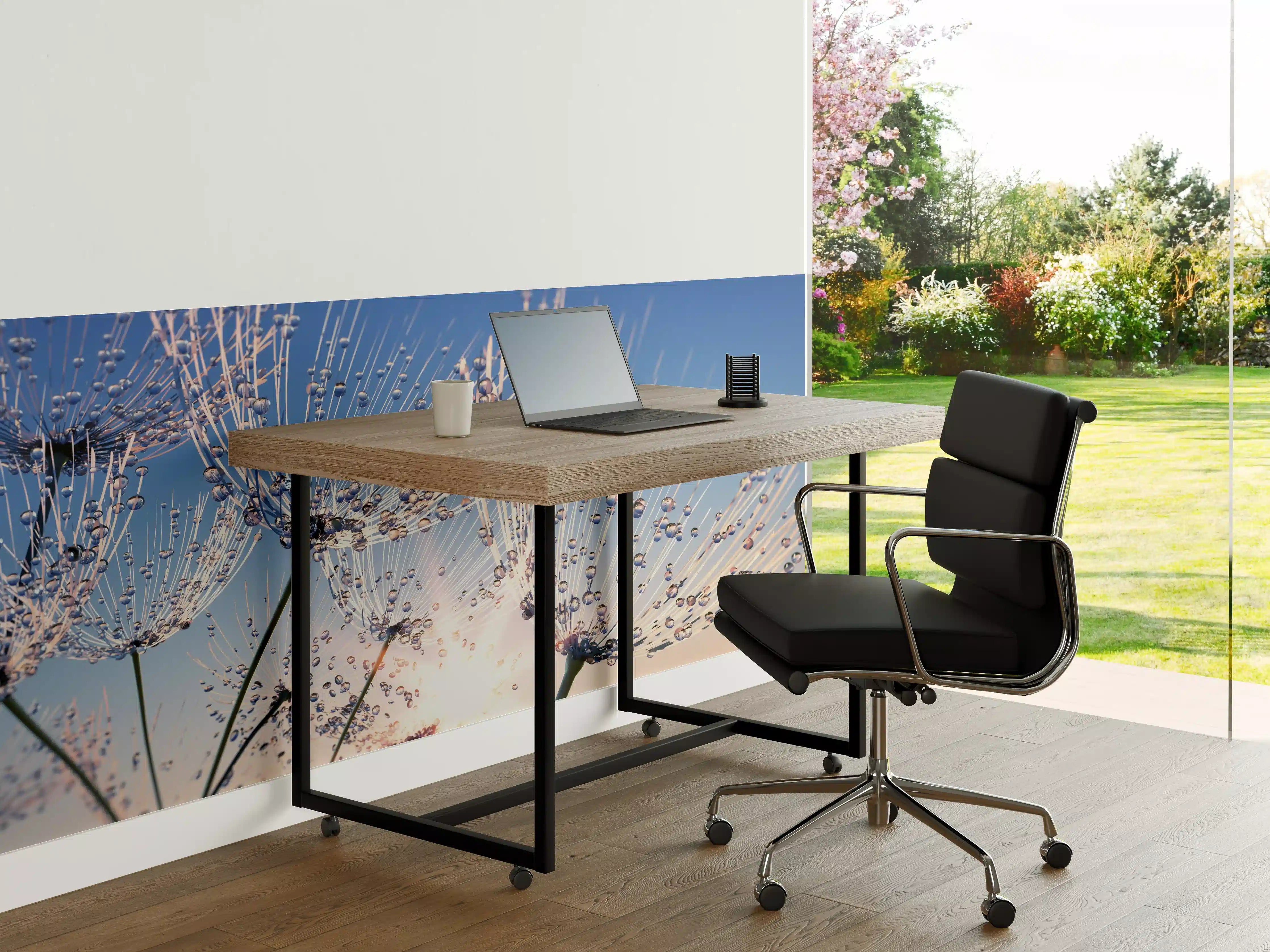 Büro Wandgestaltung - Pusteblume mit Tautropfen