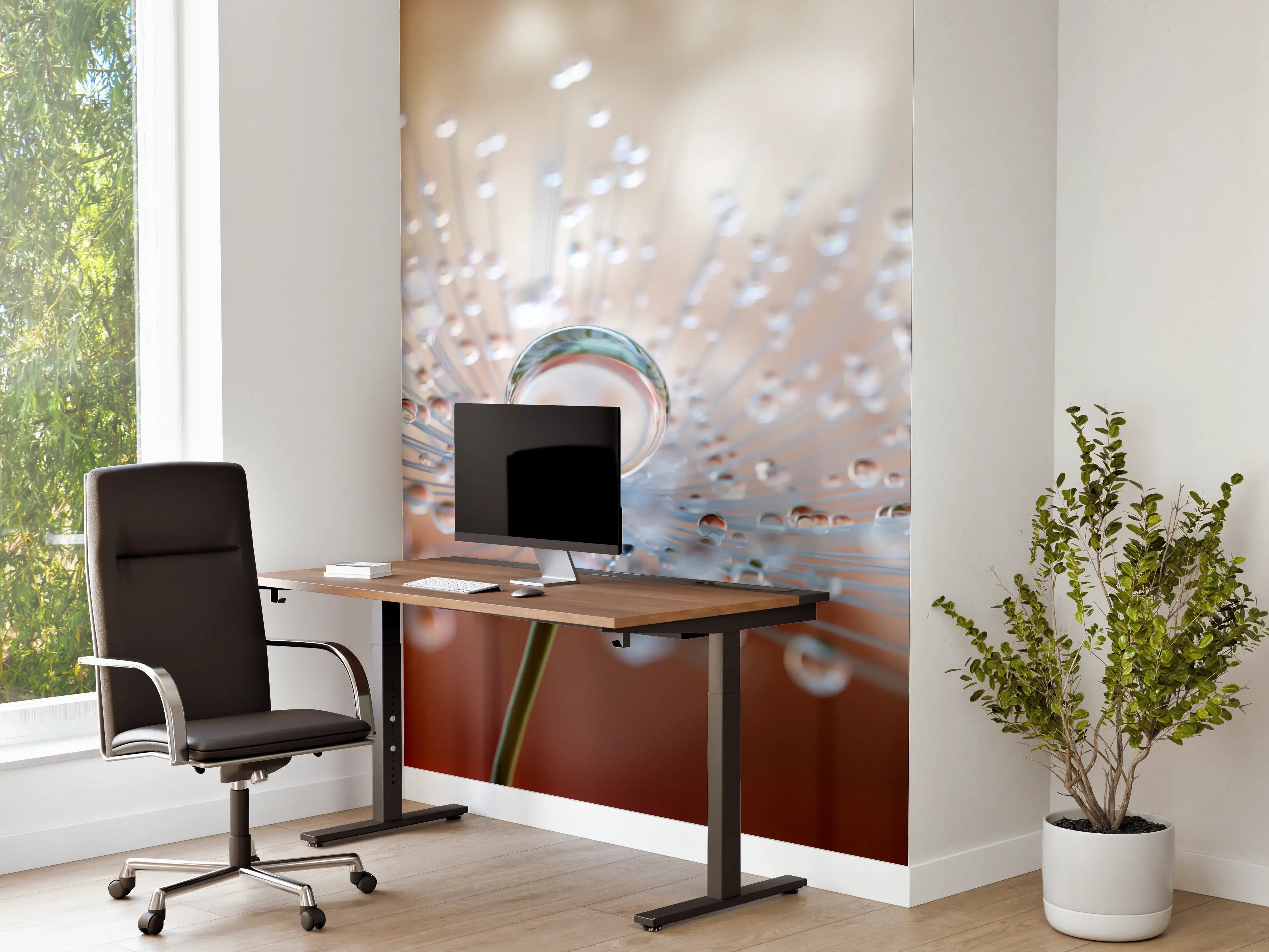 Büro Wandgestaltung - Pusteblume mit Tautropfen bei Abendlicht