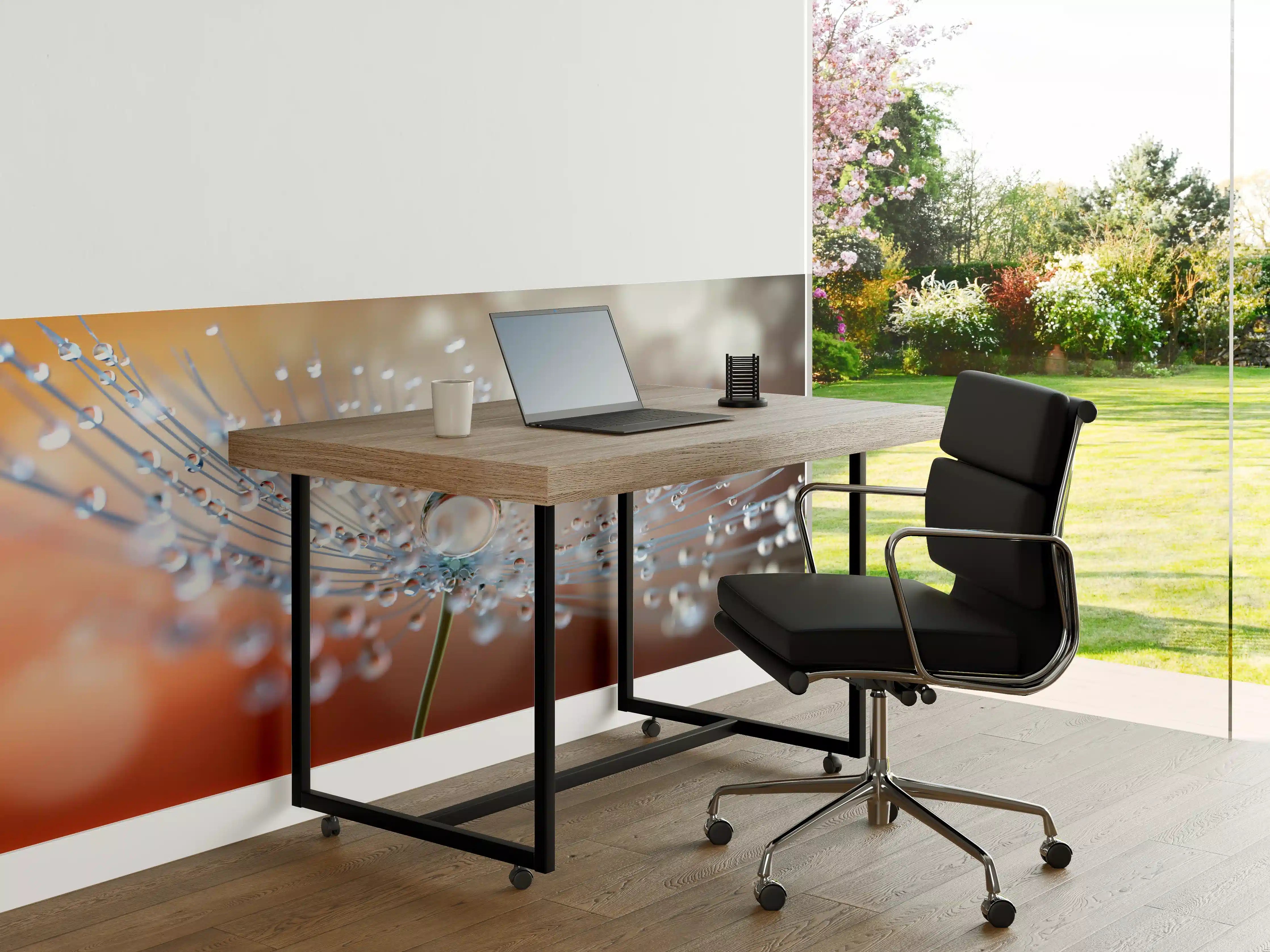 Büro Wandgestaltung - Pusteblume mit Tautropfen bei Abendlicht