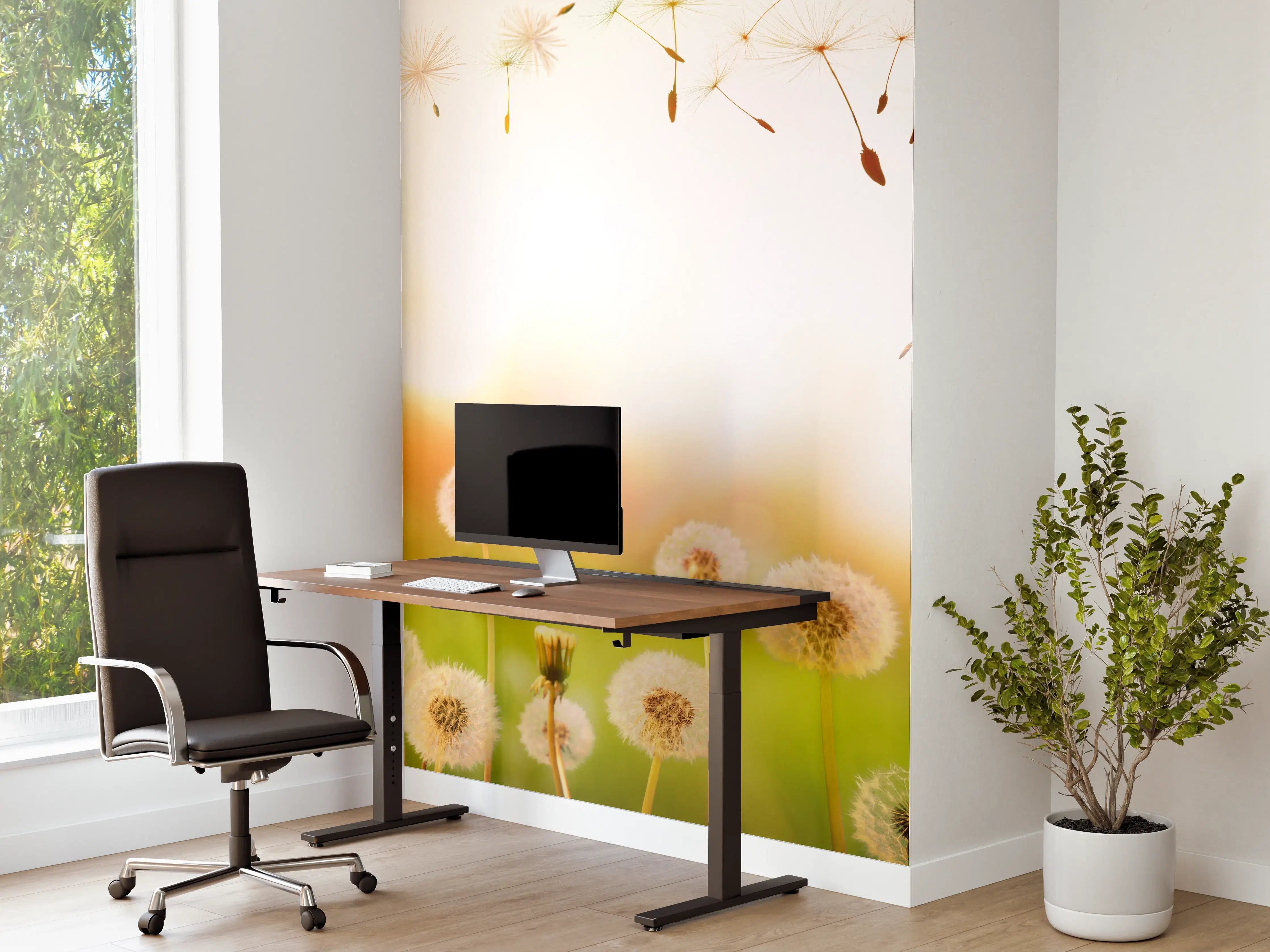 Büro Wandgestaltung - Pusteblumen im goldenen Licht