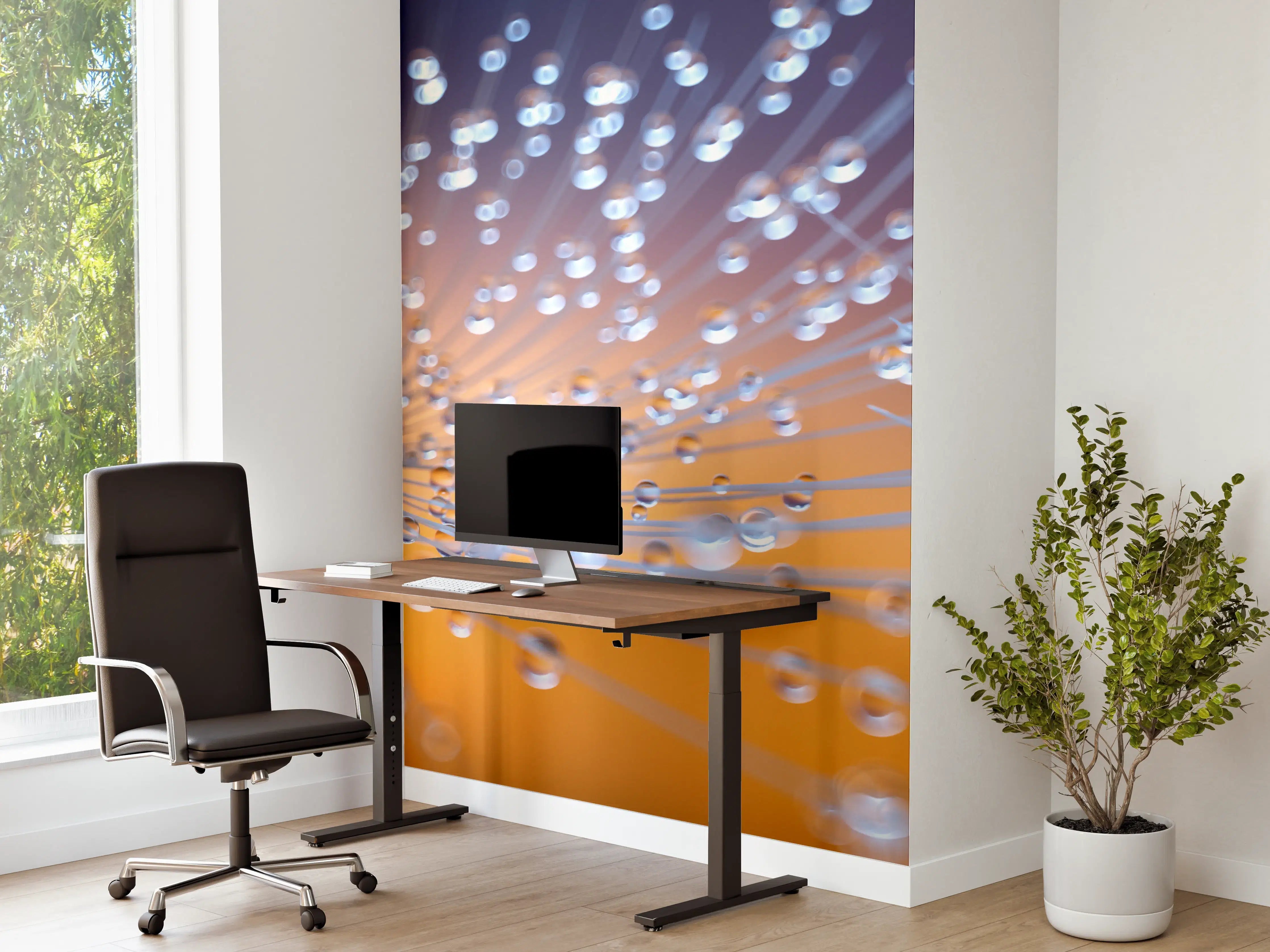 Büro Wandgestaltung - Pusteblumen mit Tau