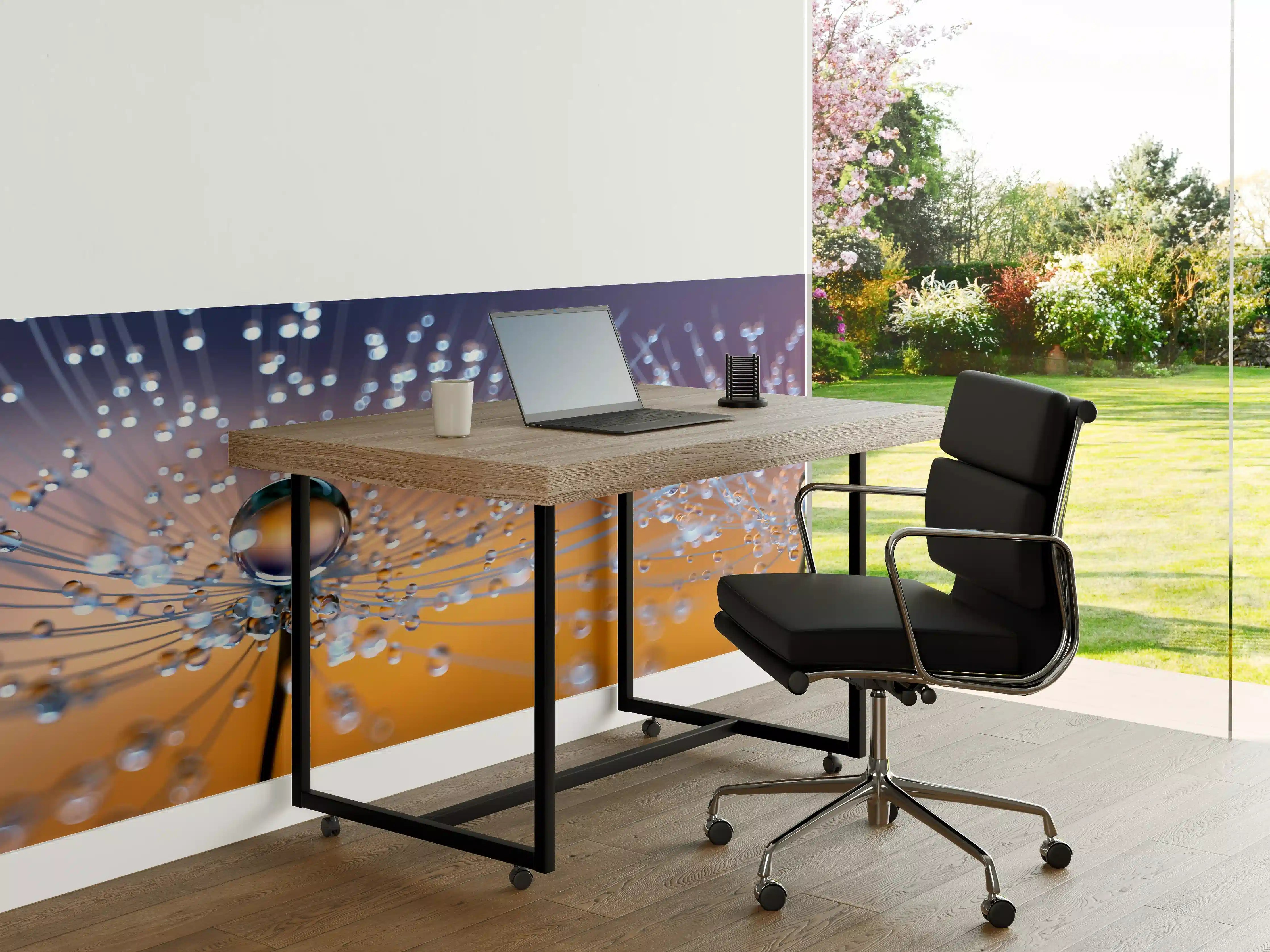 Büro Wandgestaltung - Pusteblumen mit Tau