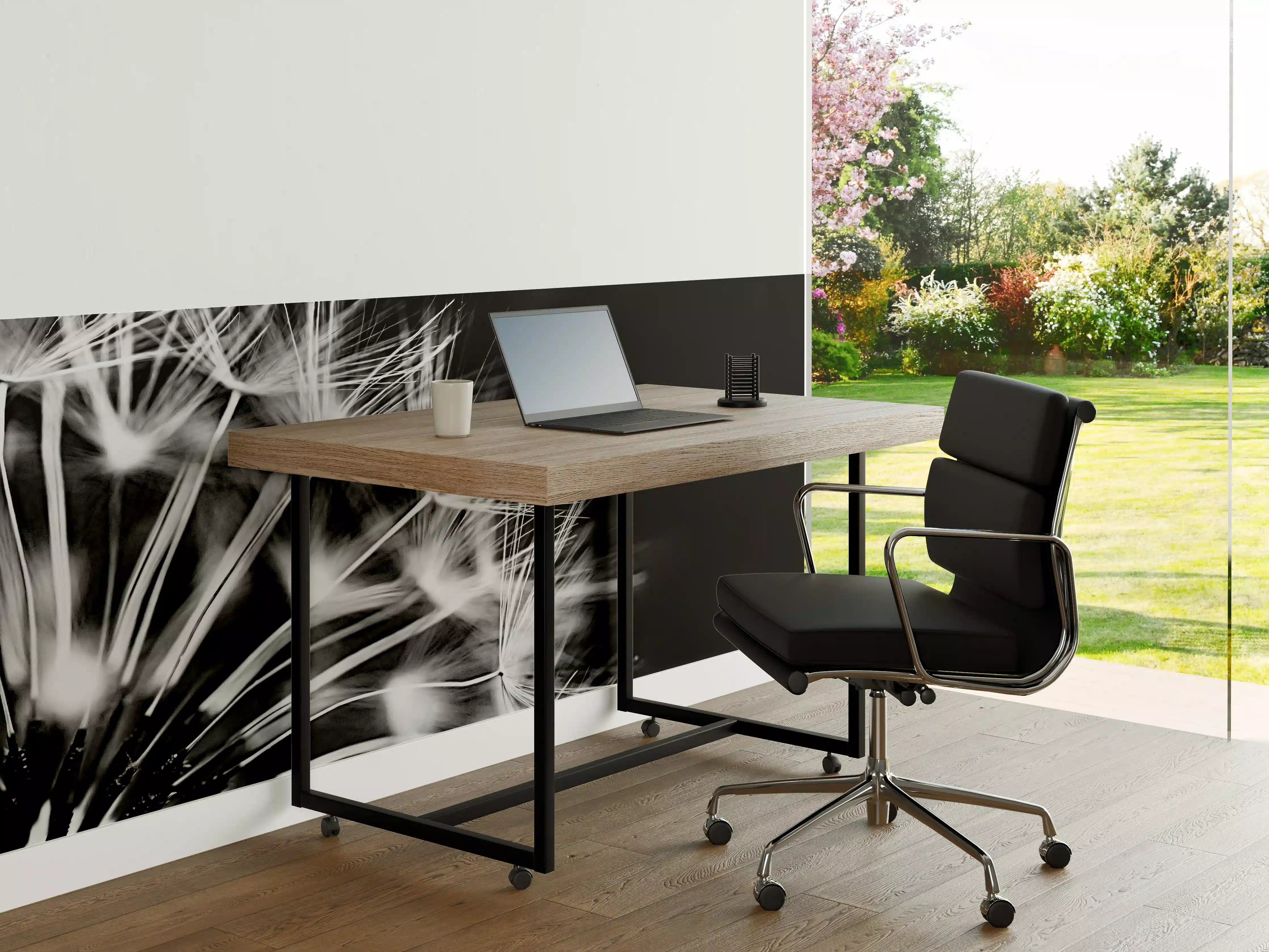 Büro Wandgestaltung - Pusteblumen schwarz-weiß Hintergrund