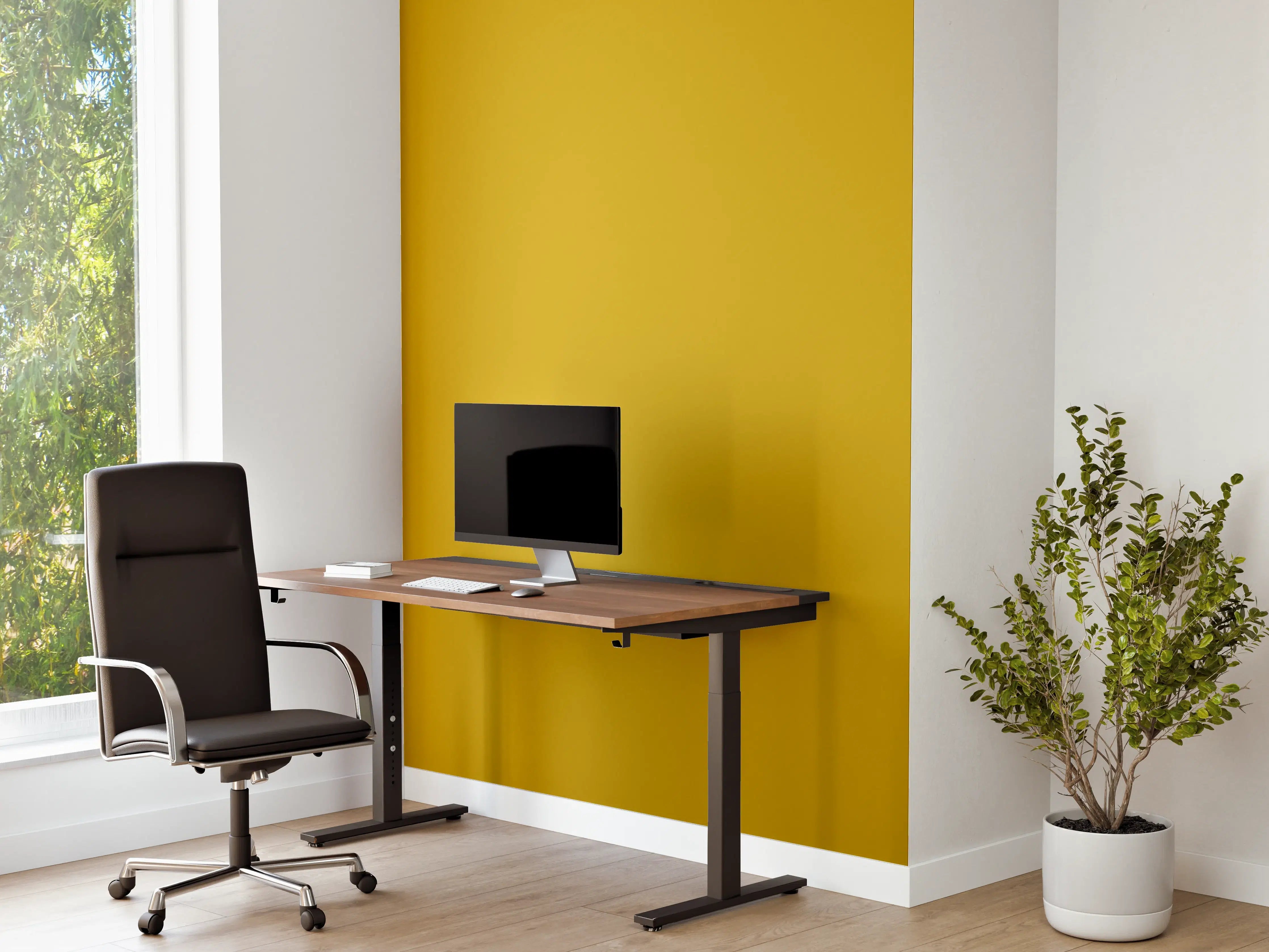 Büro Wandgestaltung - RAL 1005 (Honiggelb)