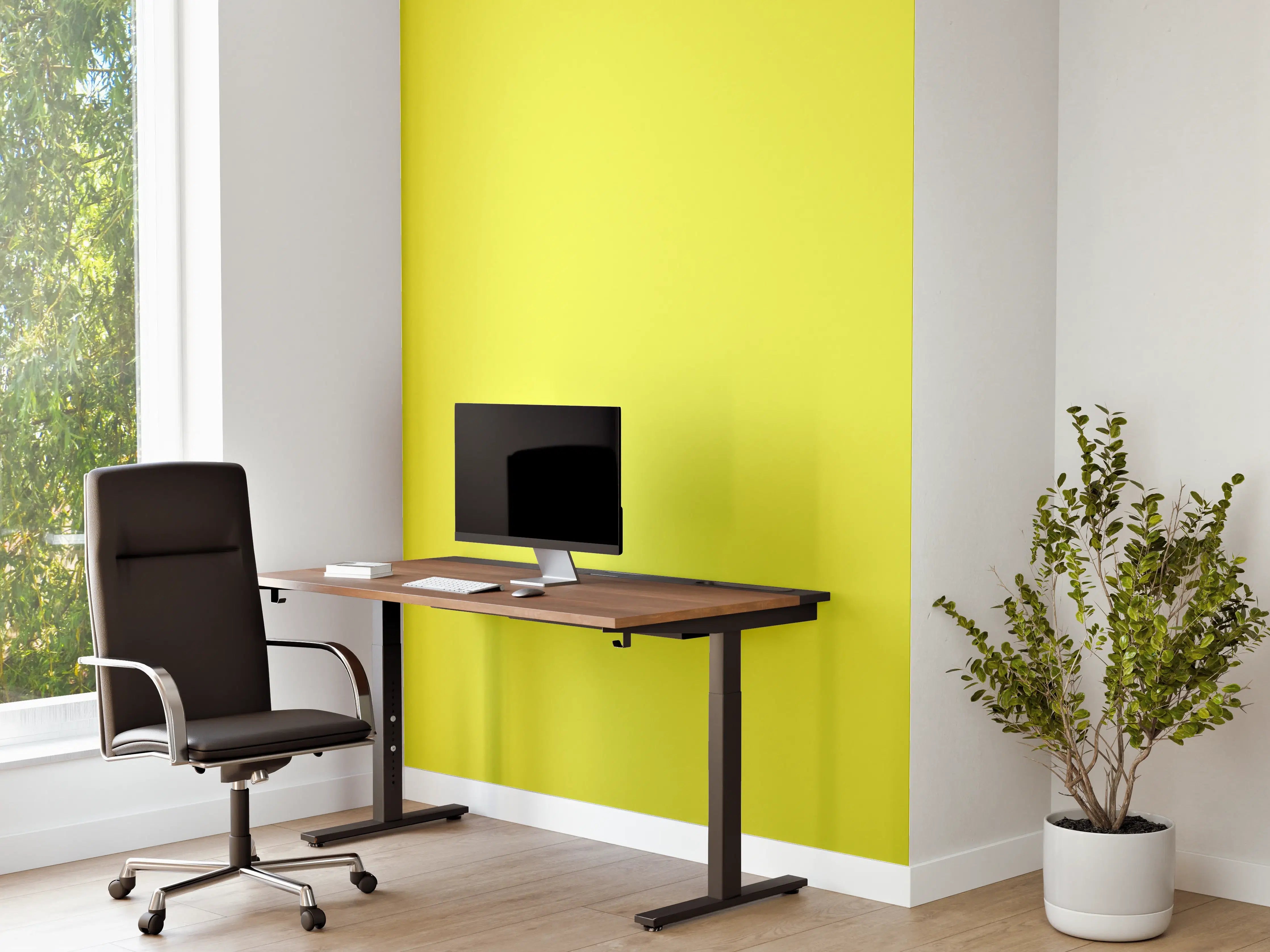 Büro Wandgestaltung - RAL 1016 (Schwefelgelb)