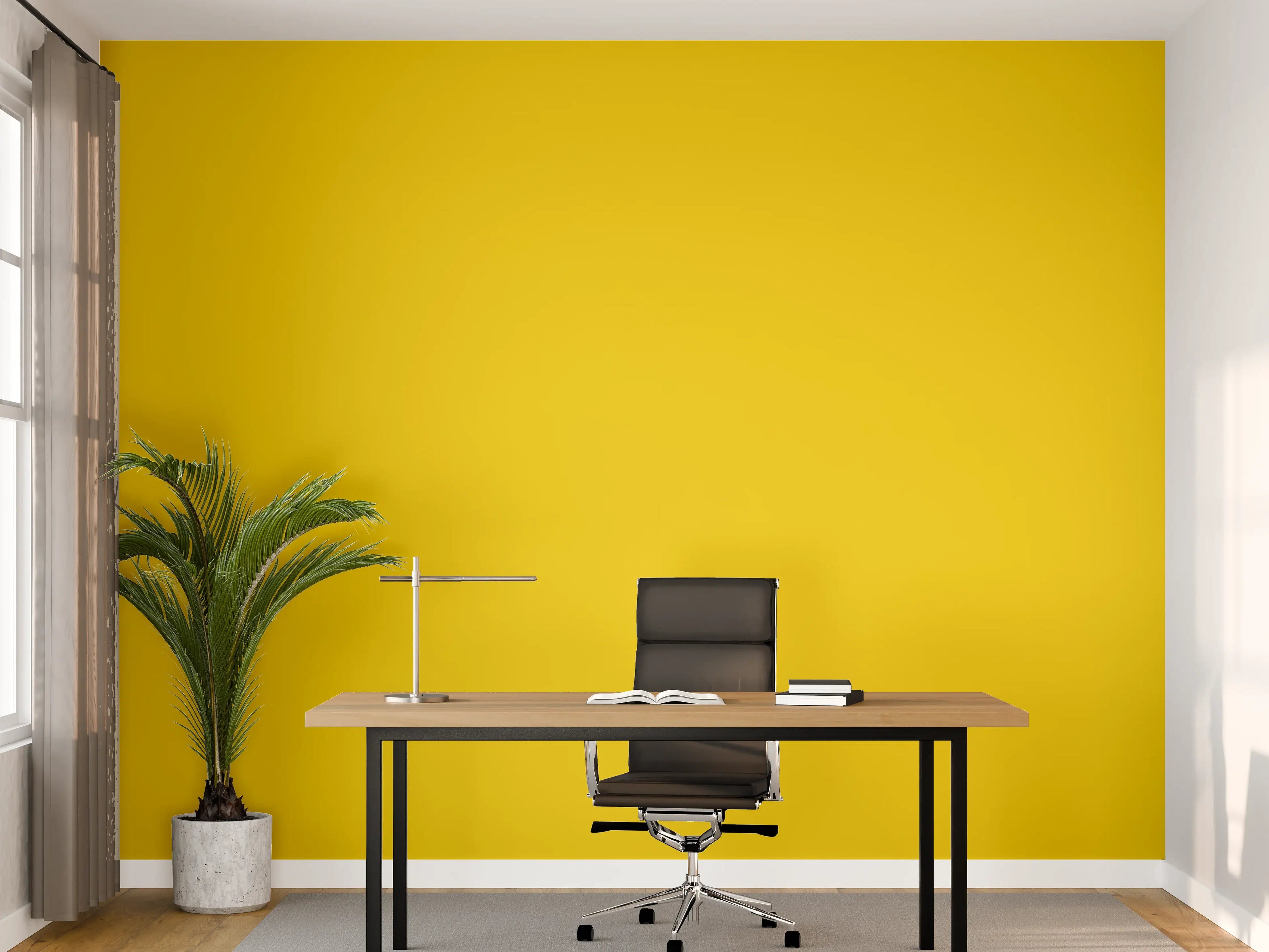 Büro Wandgestaltung - RAL 1021 (Rapsgelb)