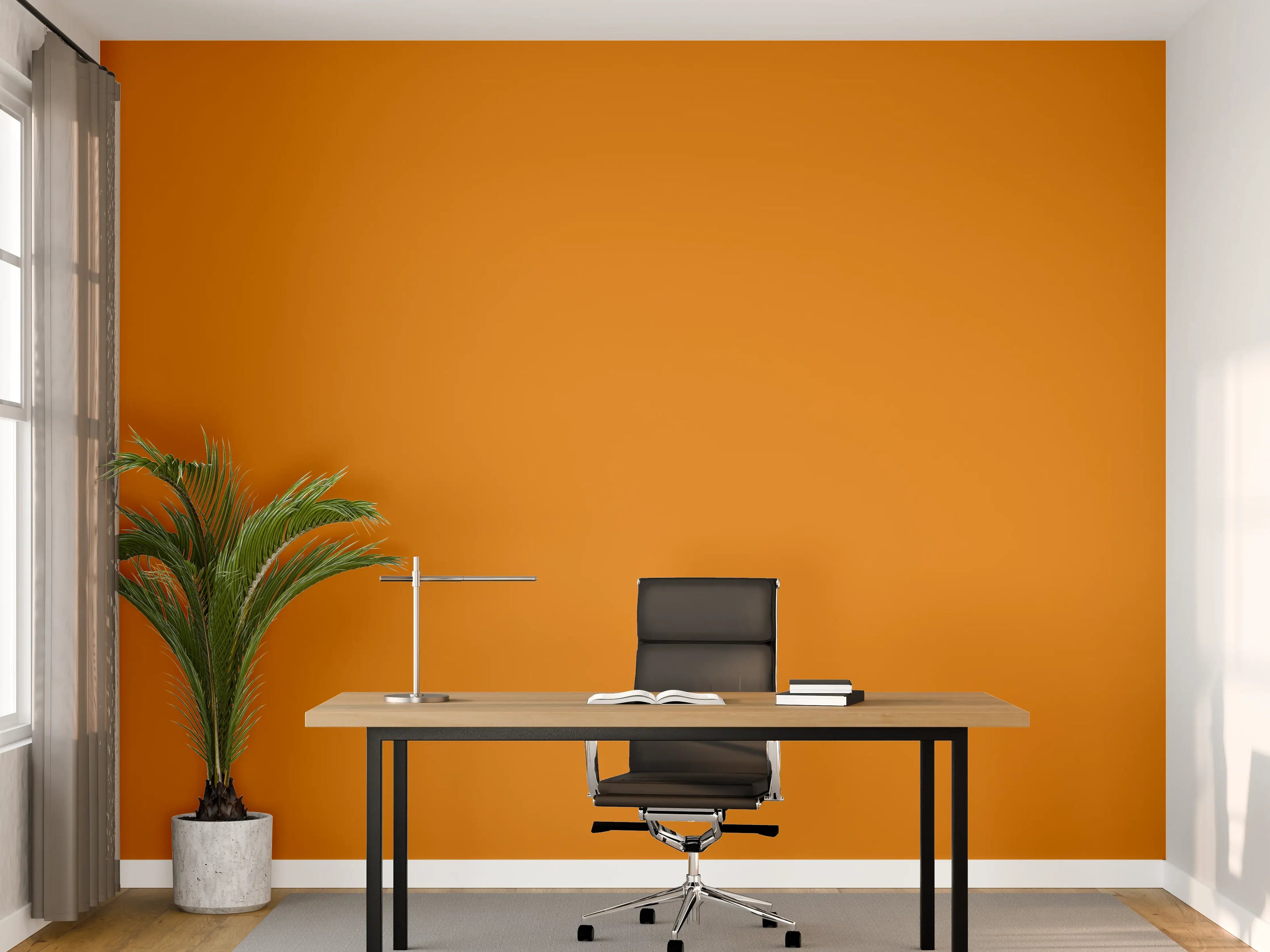 Büro Wandgestaltung - RAL 2000 (Gelborange)
