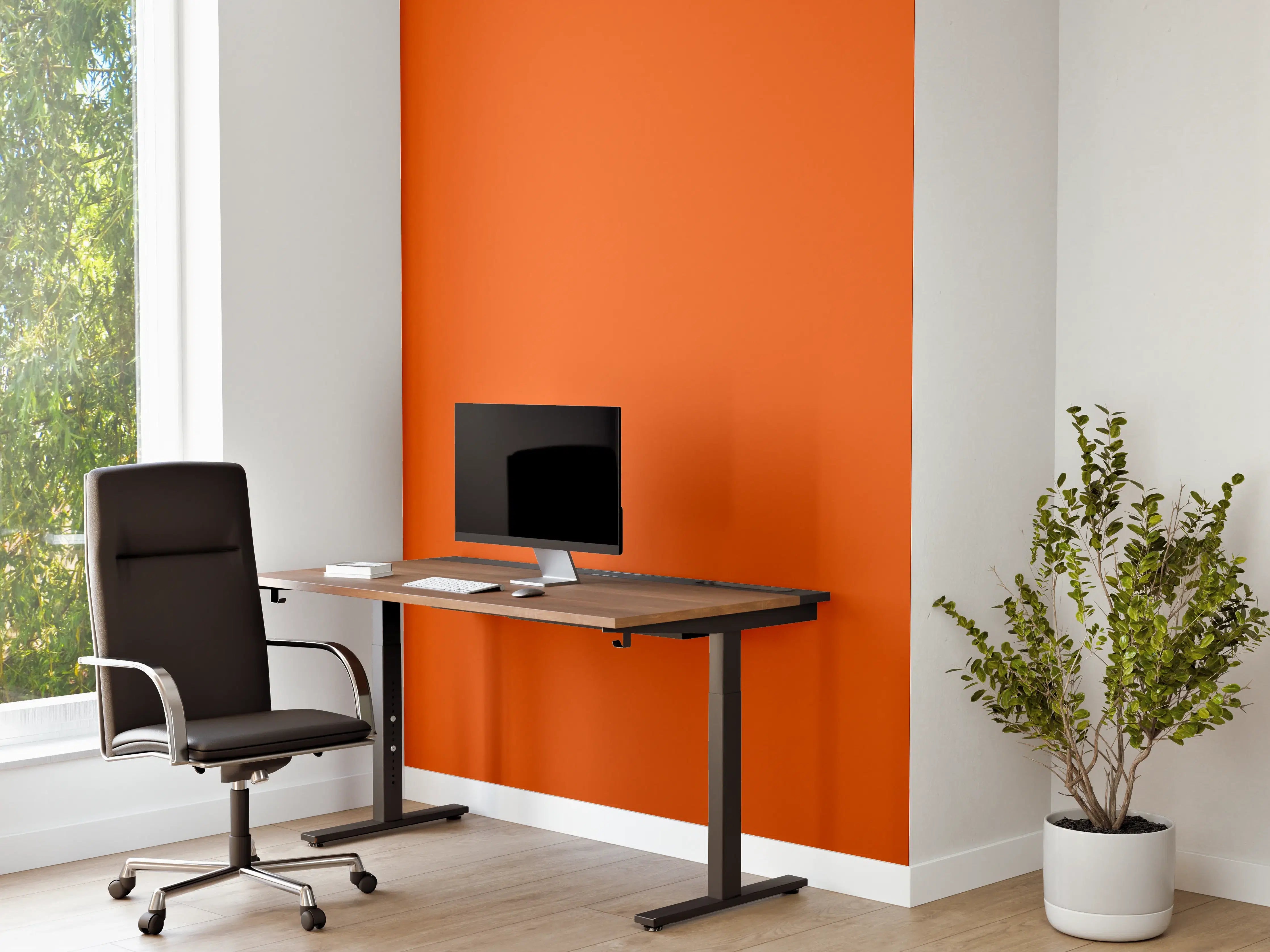 Büro Wandgestaltung - RAL 2004 (Reines Orange)