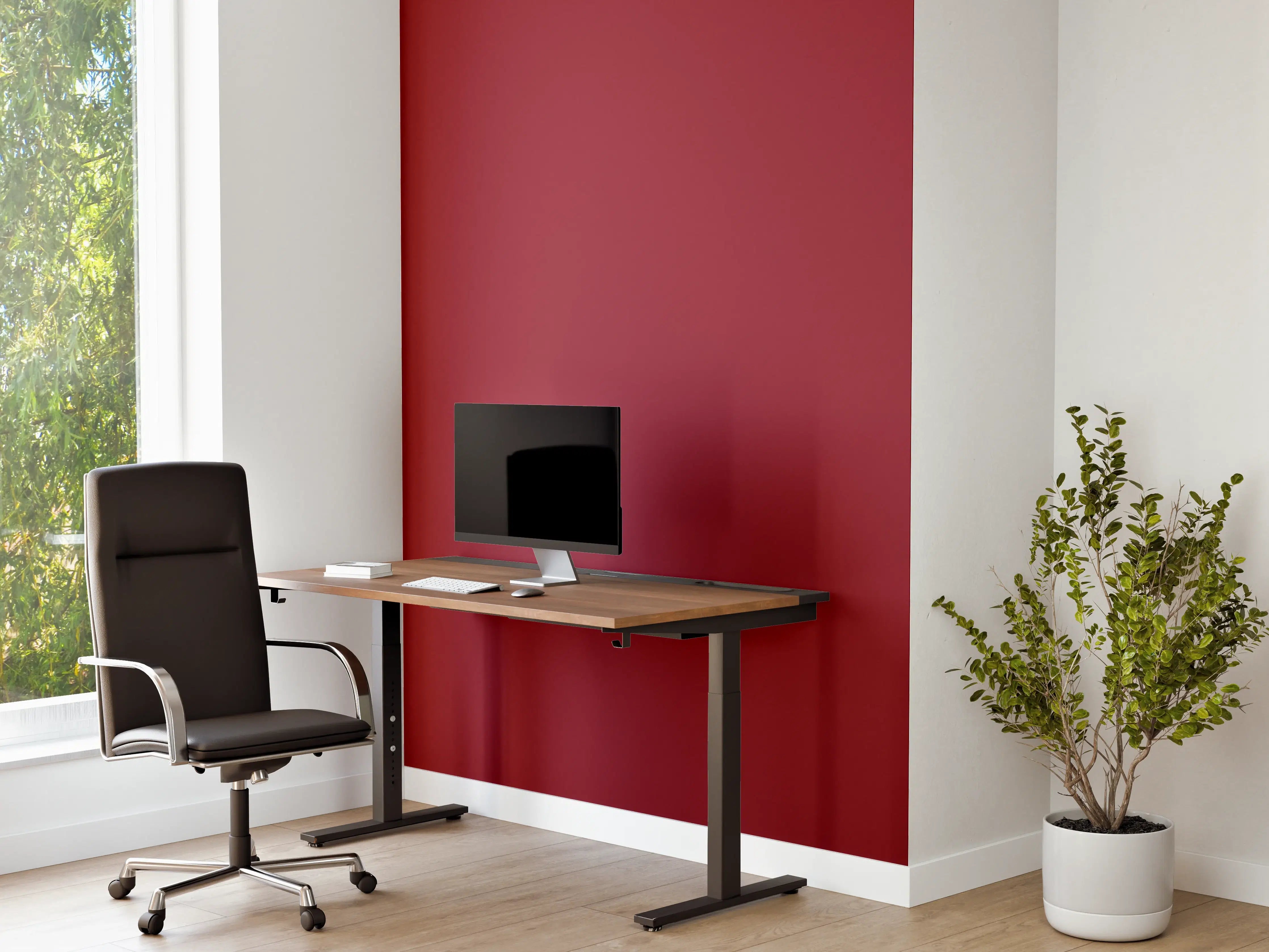 Büro Wandgestaltung - RAL 3003 (Rubinrot)