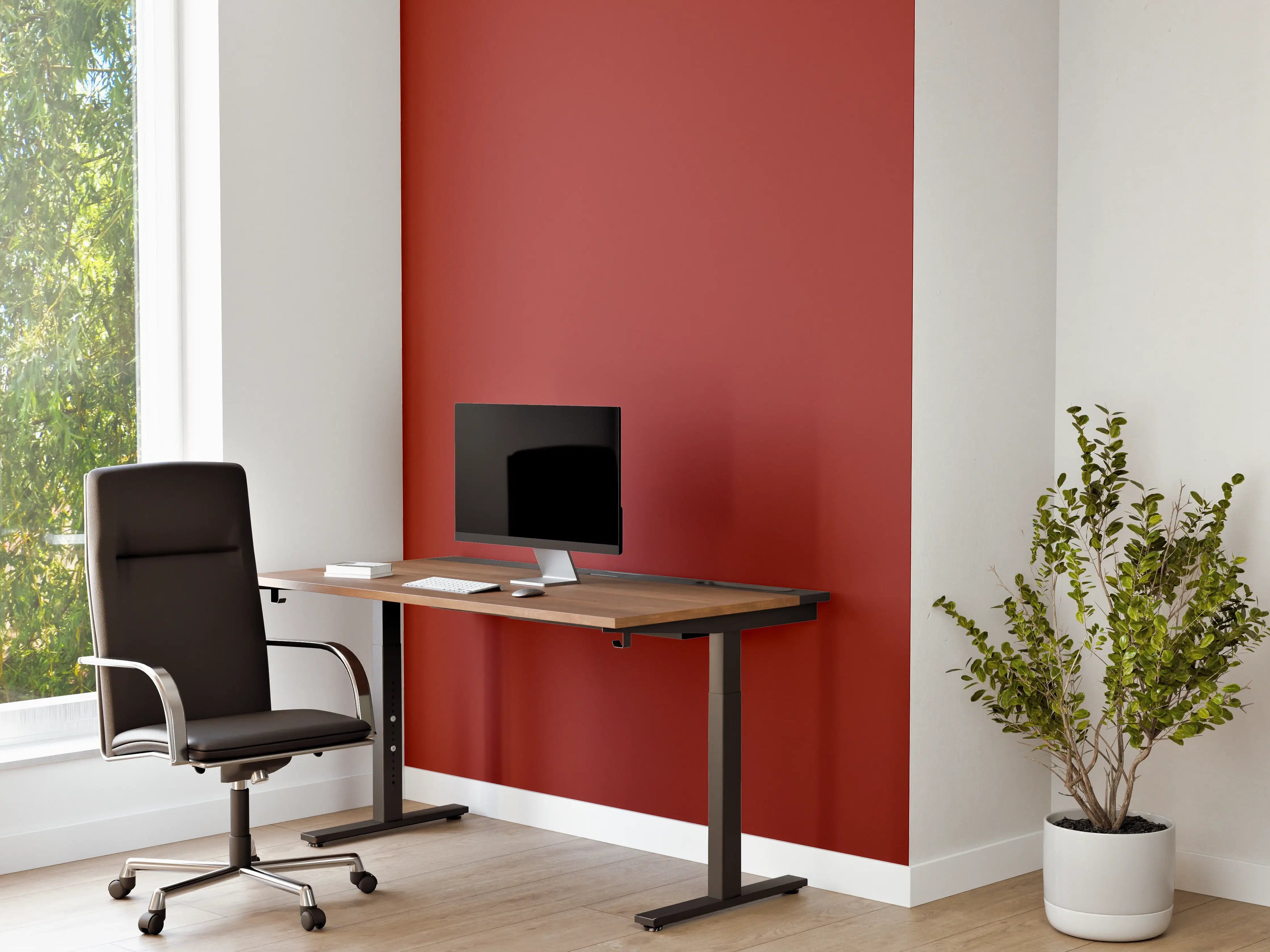 Büro Wandgestaltung - RAL 3013 Tomatenrot