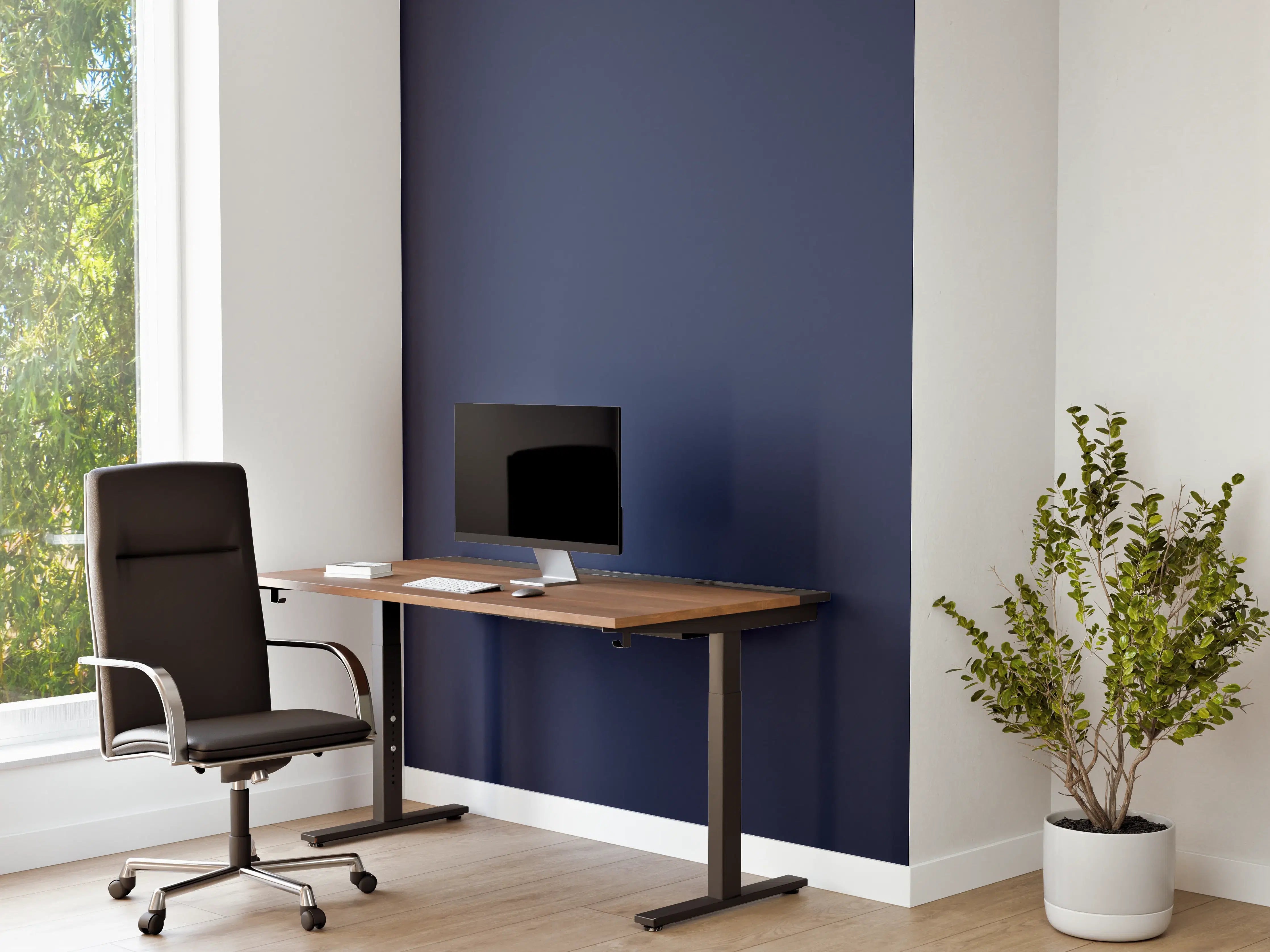 Büro Wandgestaltung - RAL 5003 (Saphirblau)