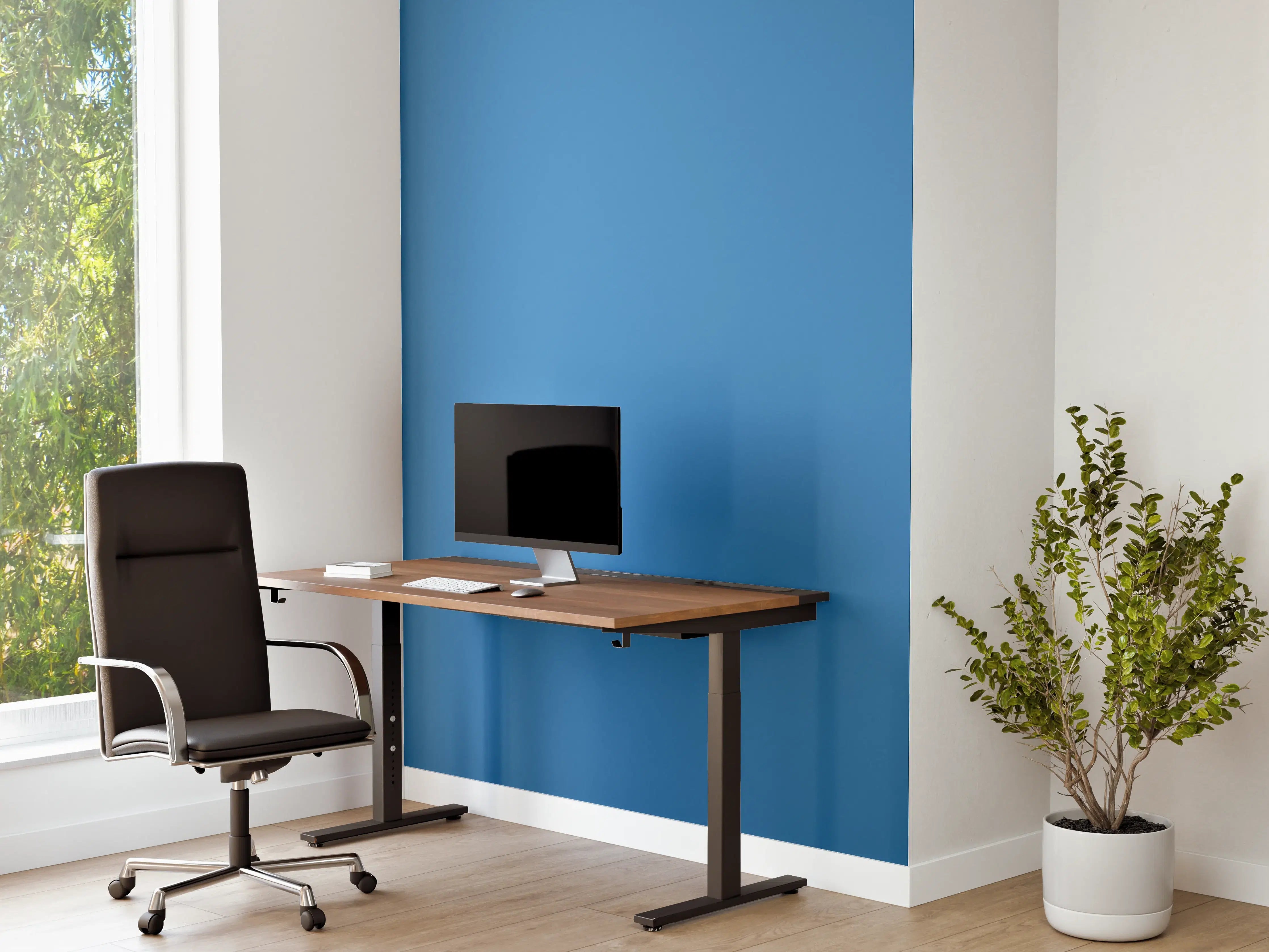Büro Wandgestaltung - RAL 5012 (Hellblau)