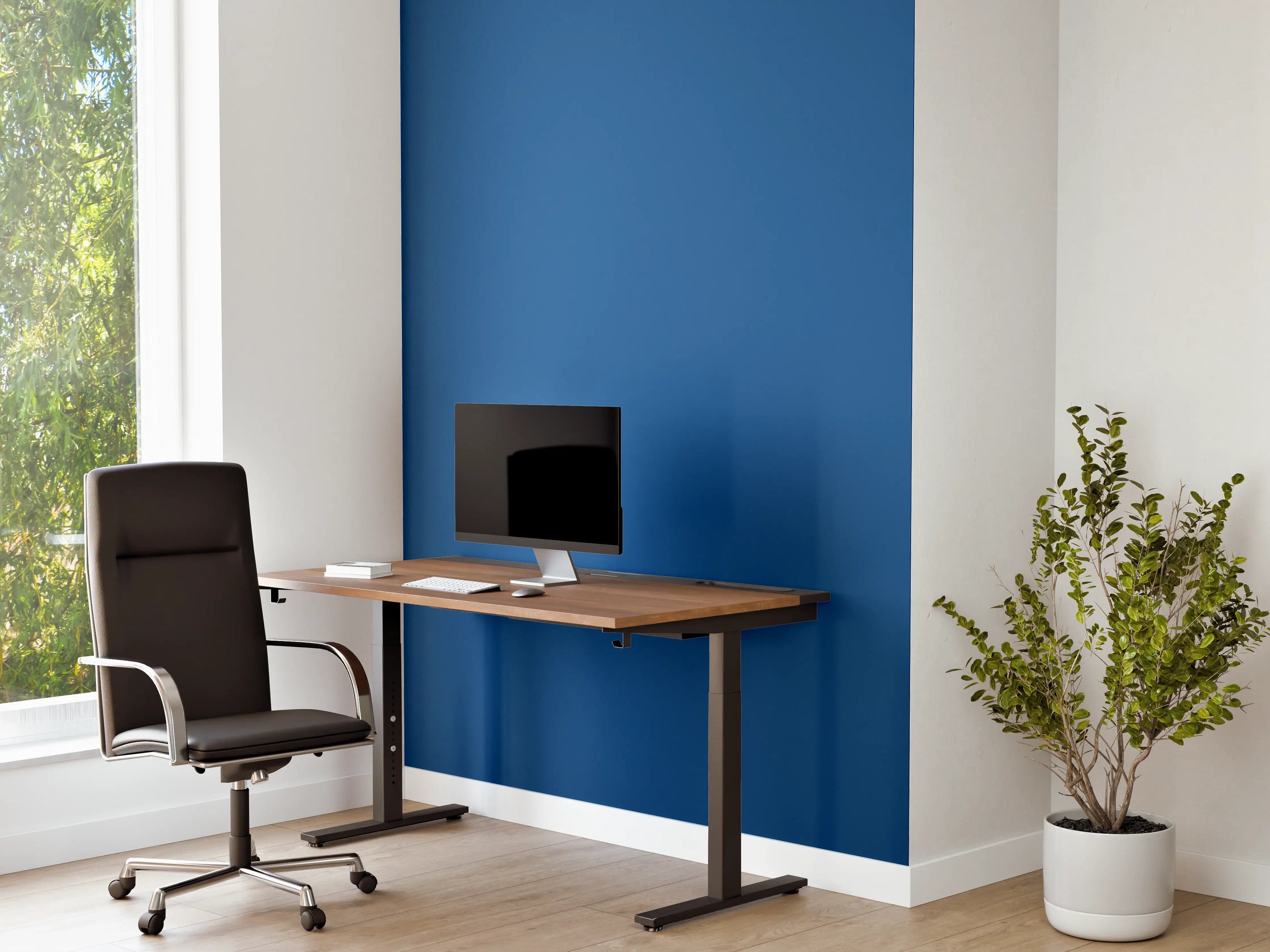 Büro Wandgestaltung - RAL 5017 (Verkehrsblau)
