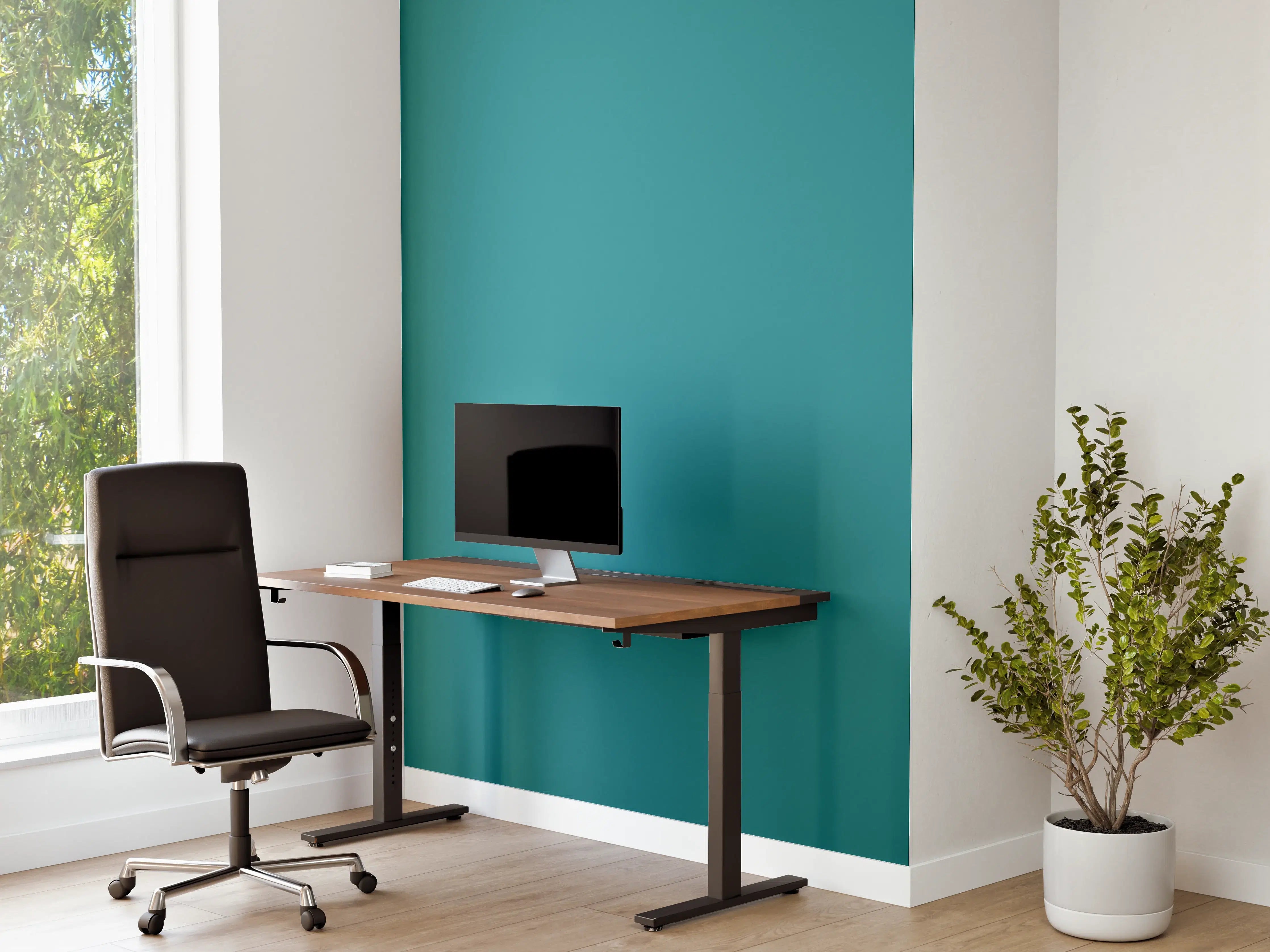 Büro Wandgestaltung - RAL 5018 (Türkisblau)