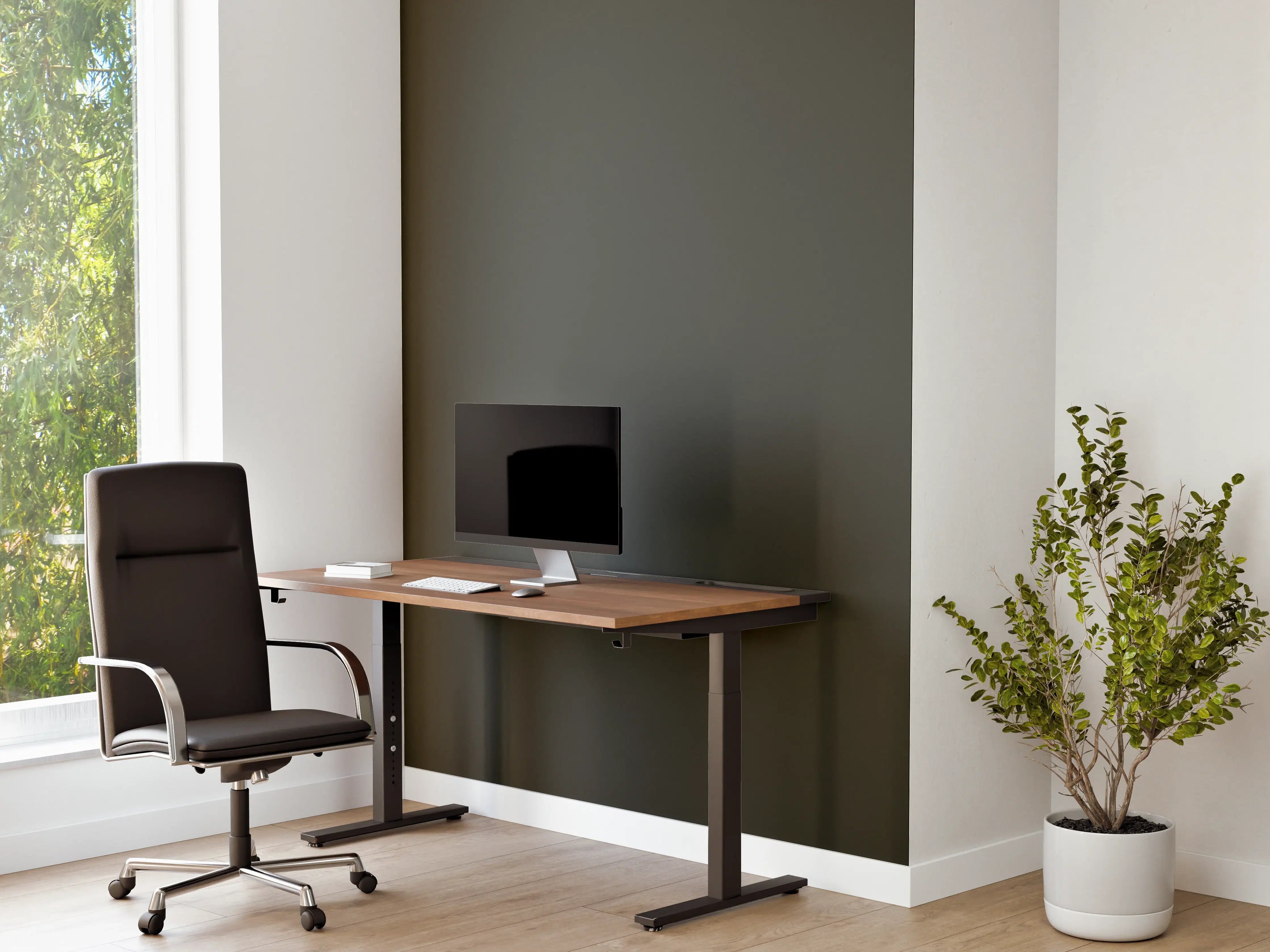 Büro Wandgestaltung - RAL 6006 (Olivgrau)