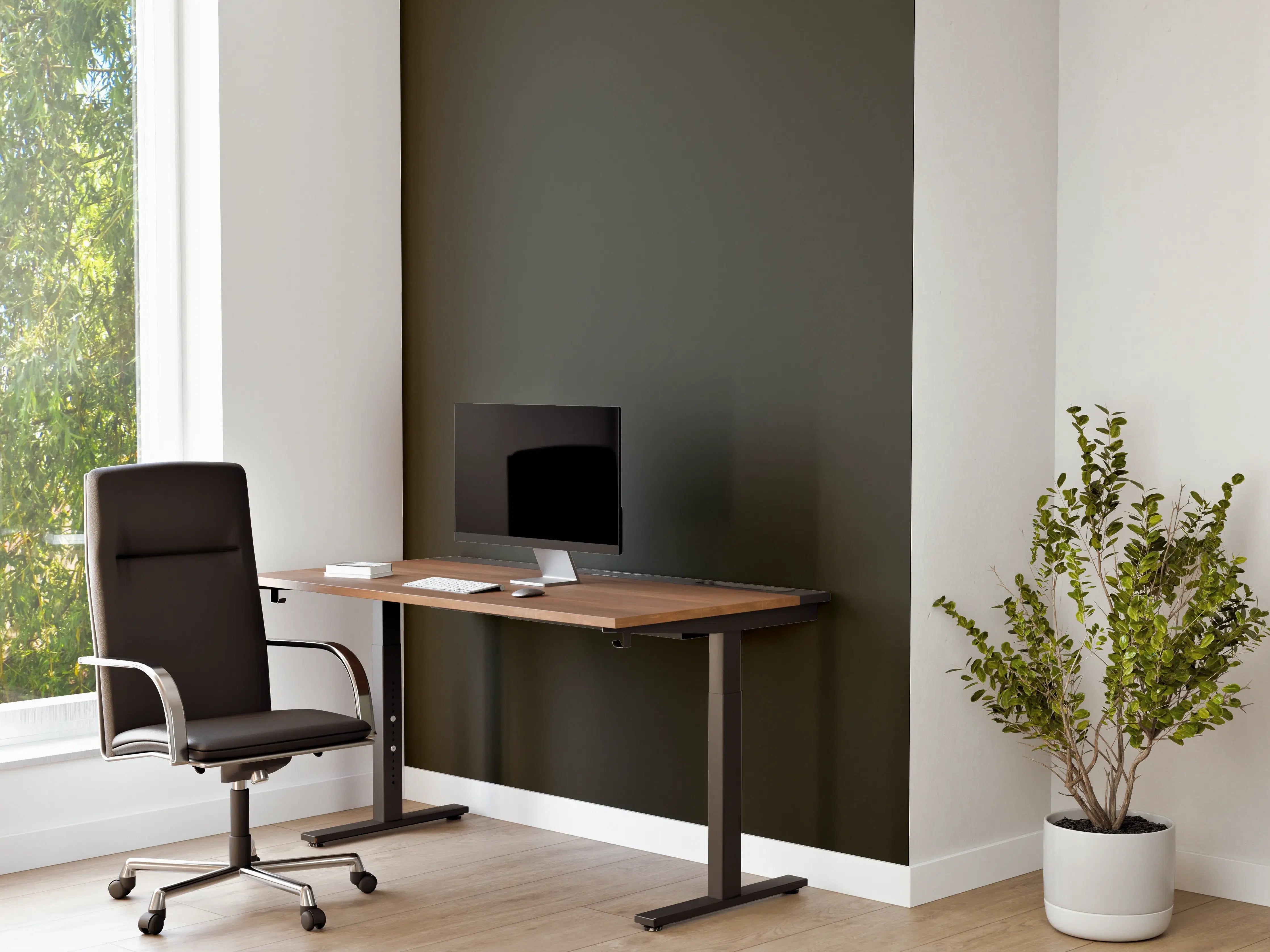 Büro Wandgestaltung - RAL 6008 (Braungrün)