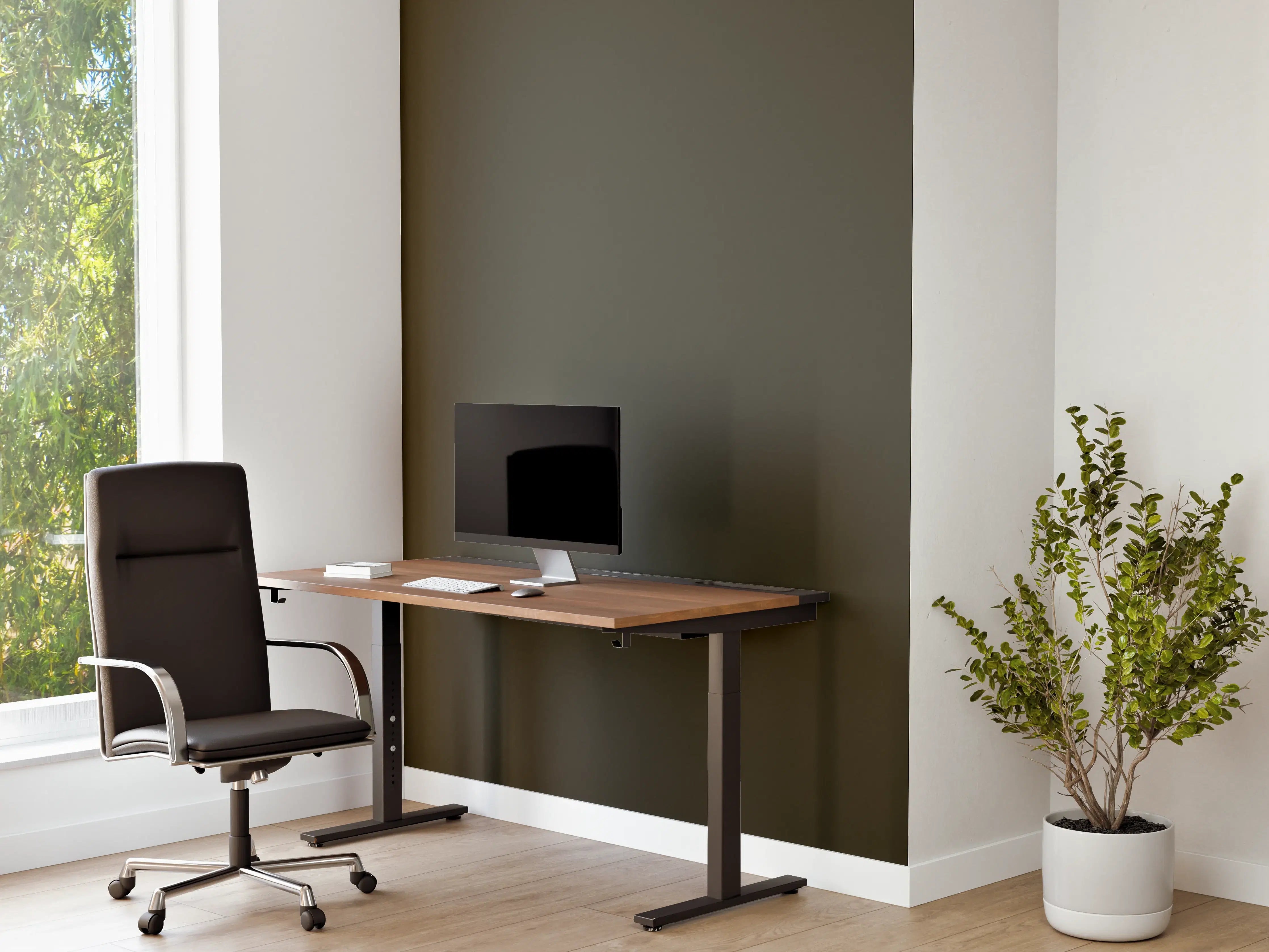 Büro Wandgestaltung - RAL 6014 (Gelboliv)