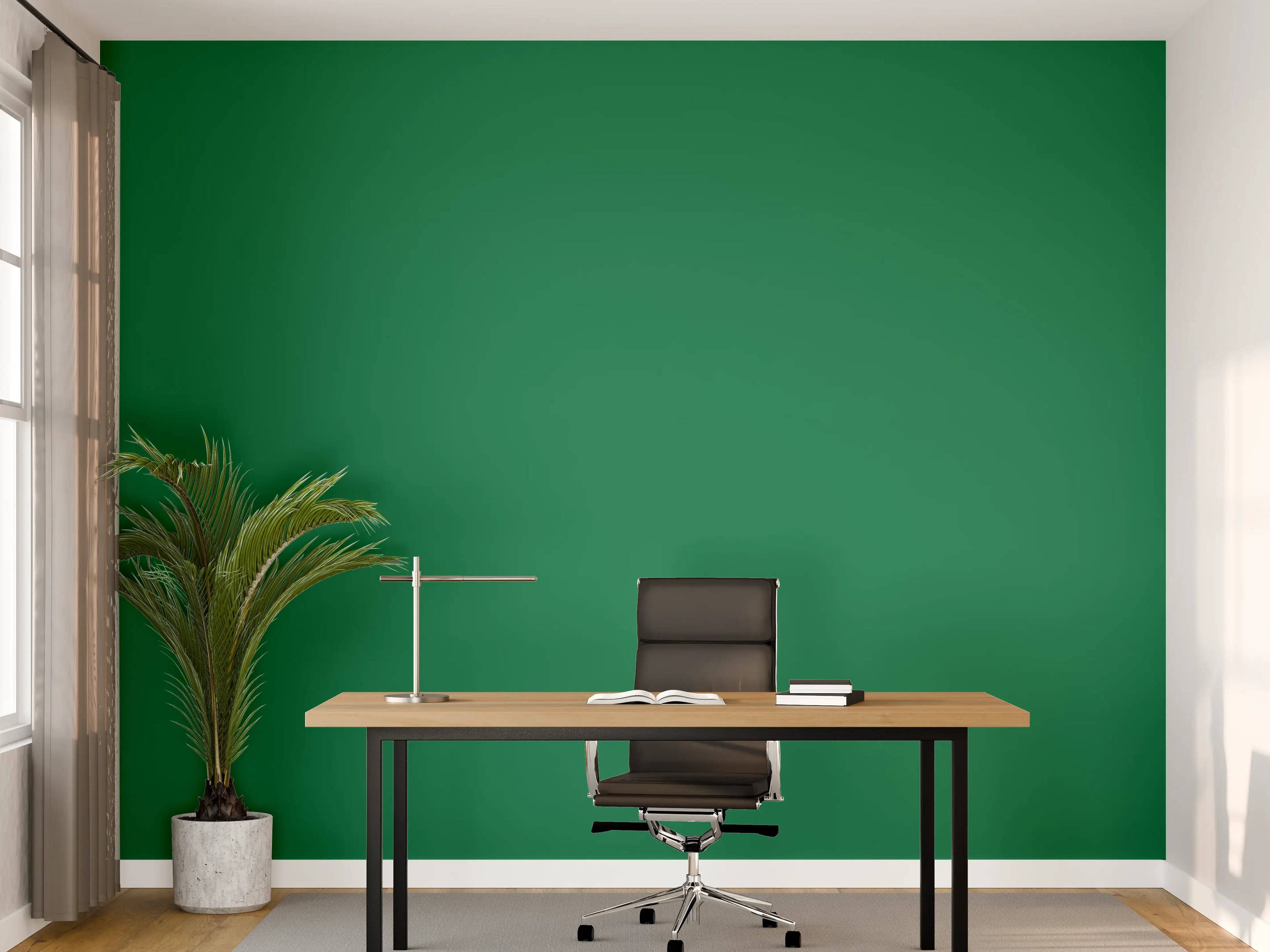 Büro Wandgestaltung - RAL 6029 (Mintgrün)