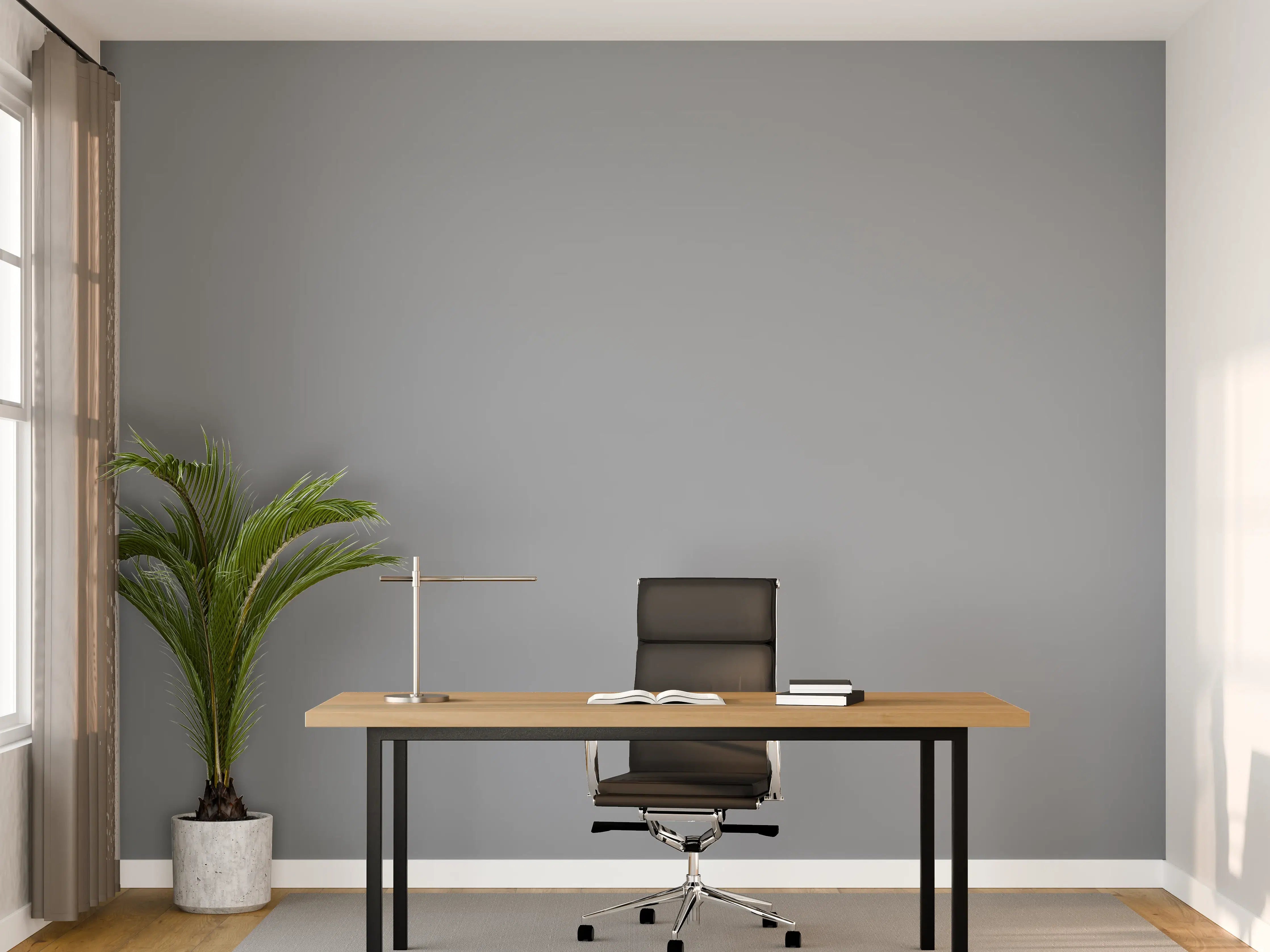 Büro Wandgestaltung - RAL 7001 (Silbergrau)