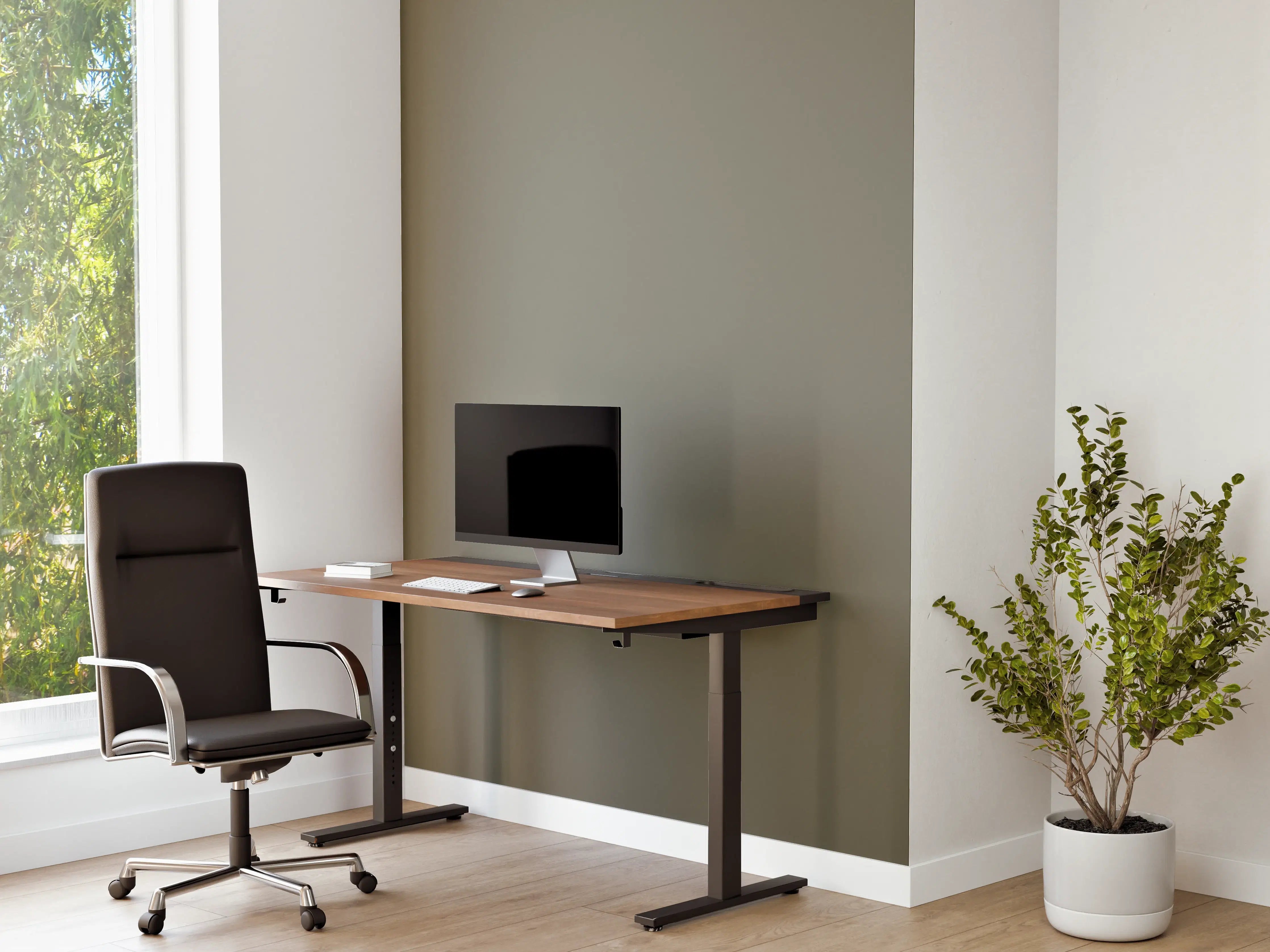 Büro Wandgestaltung - RAL 7003 (Moosgrau)