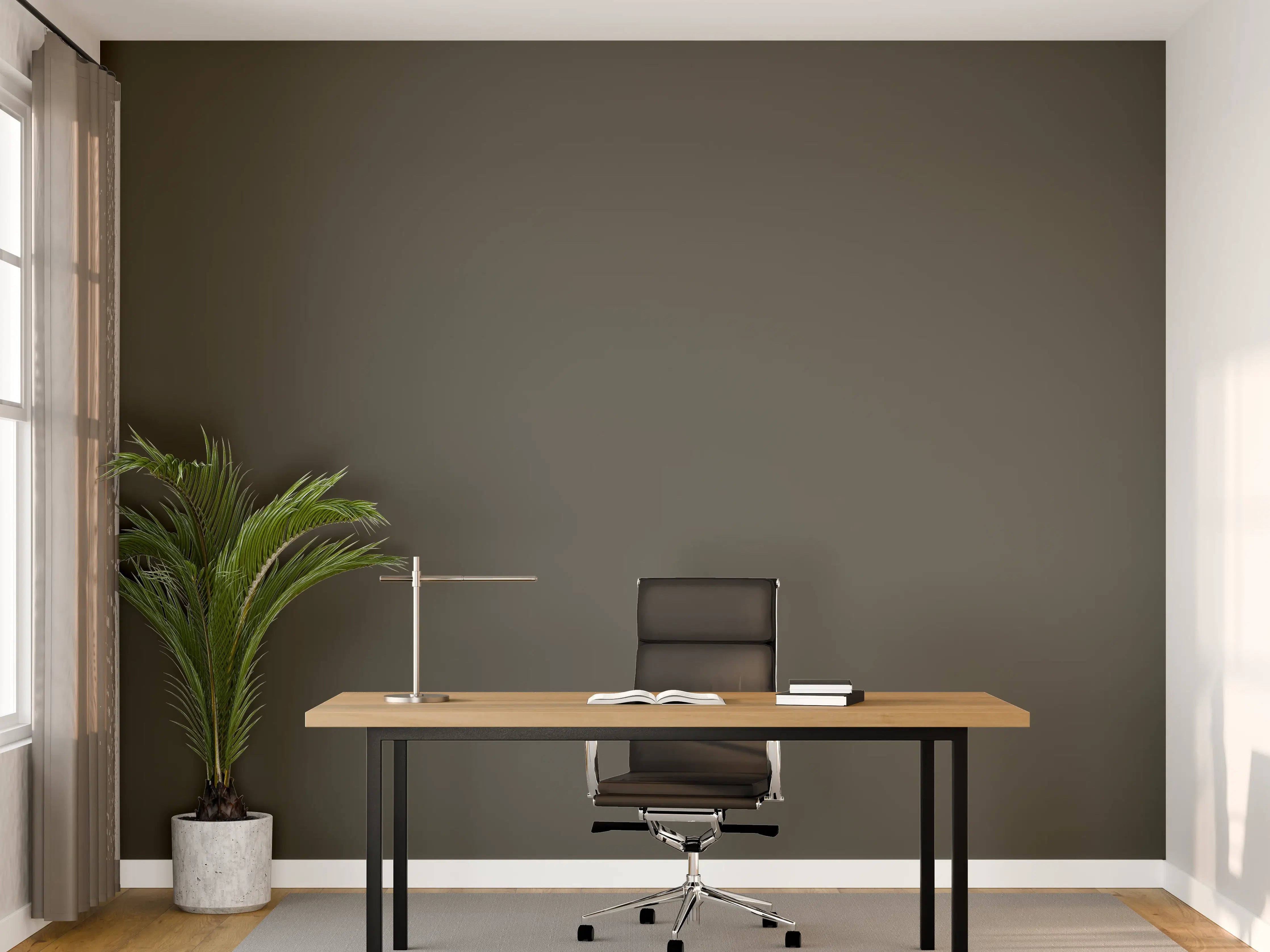 Büro Wandgestaltung - RAL 7022 (Umbragrau)
