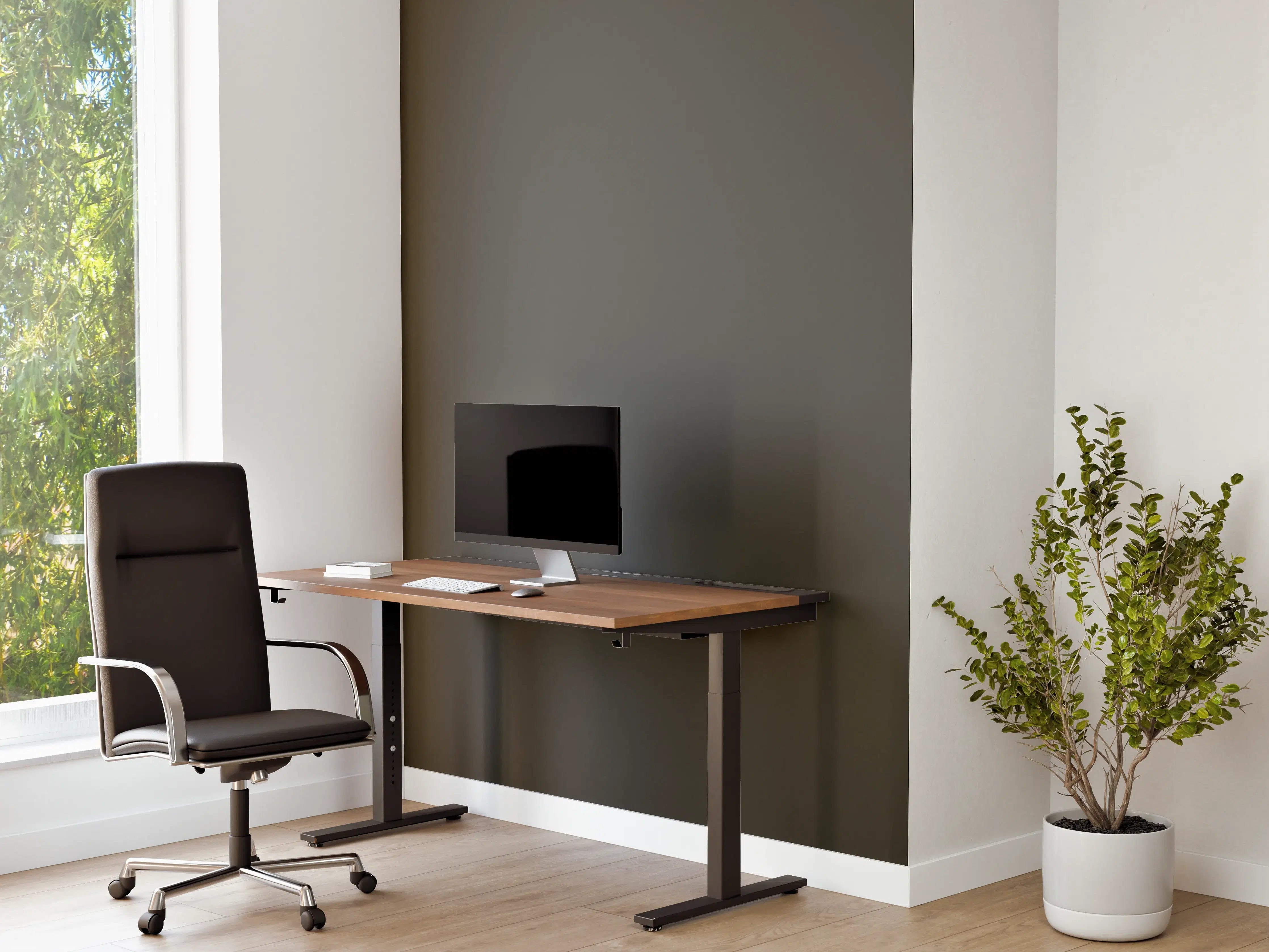 Büro Wandgestaltung - RAL 7022 (Umbragrau)
