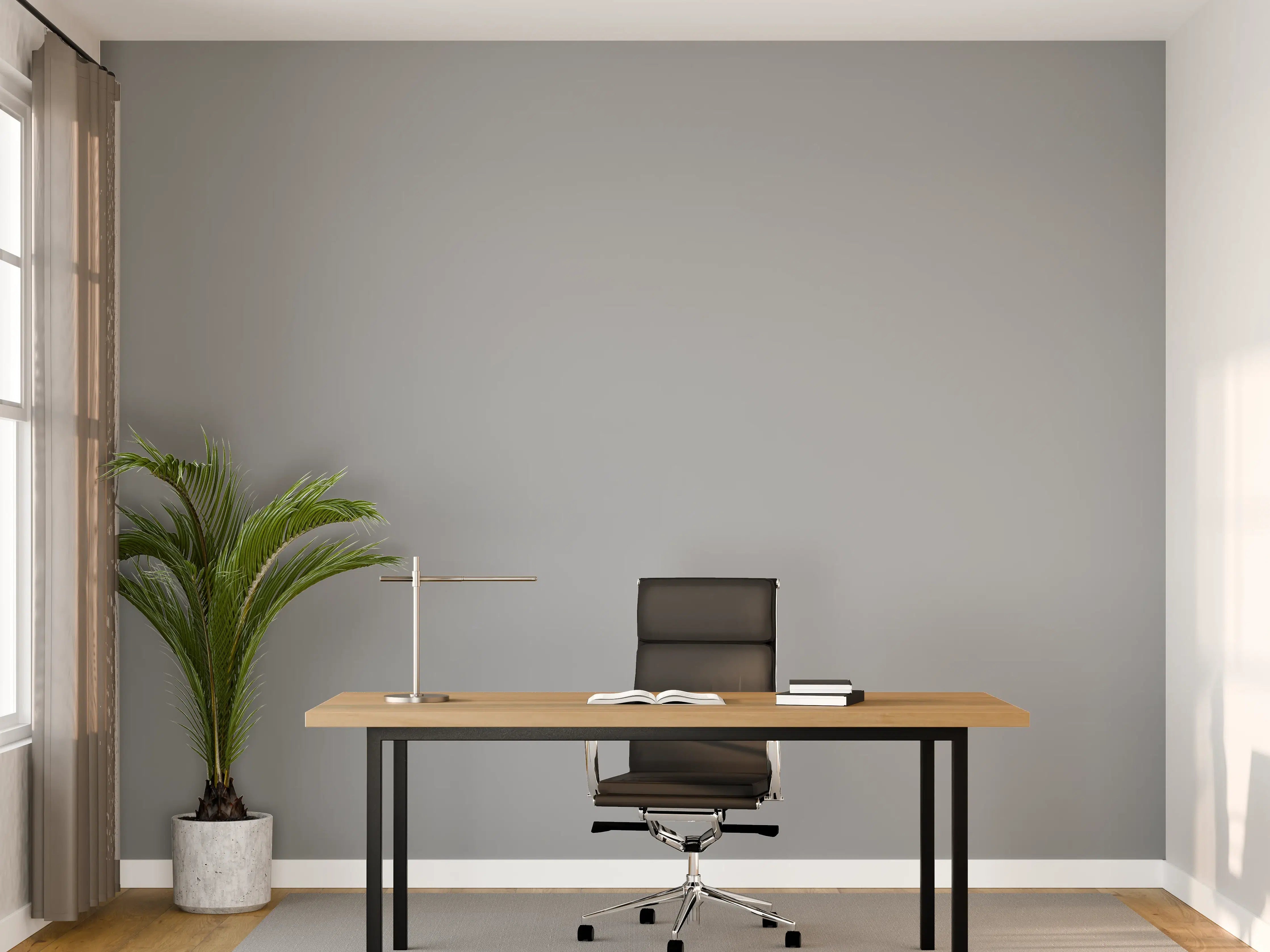 Büro Wandgestaltung - RAL 7040 (Fenstergrau)