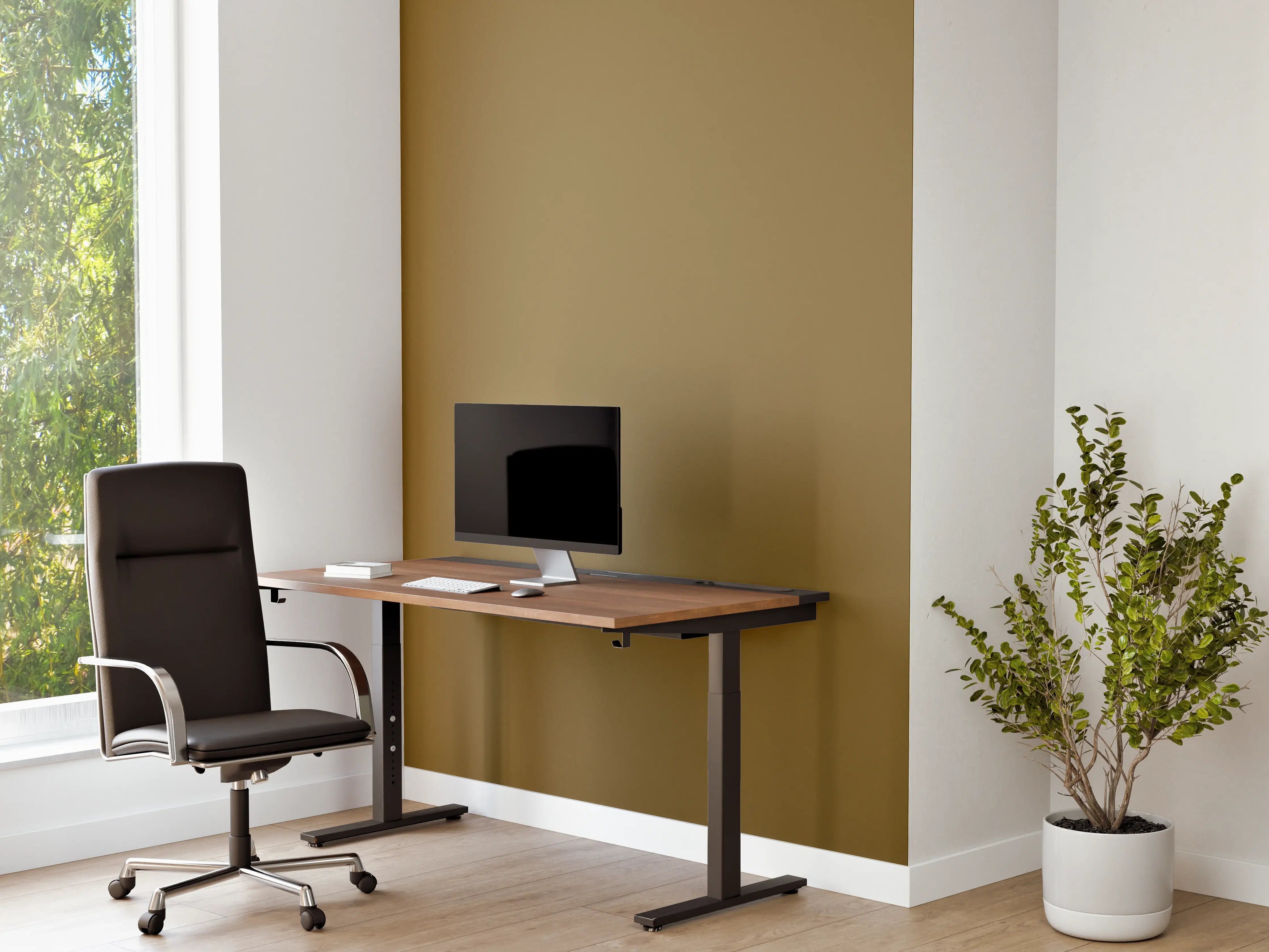 Büro Wandgestaltung - RAL 8000 (Grünbraun)