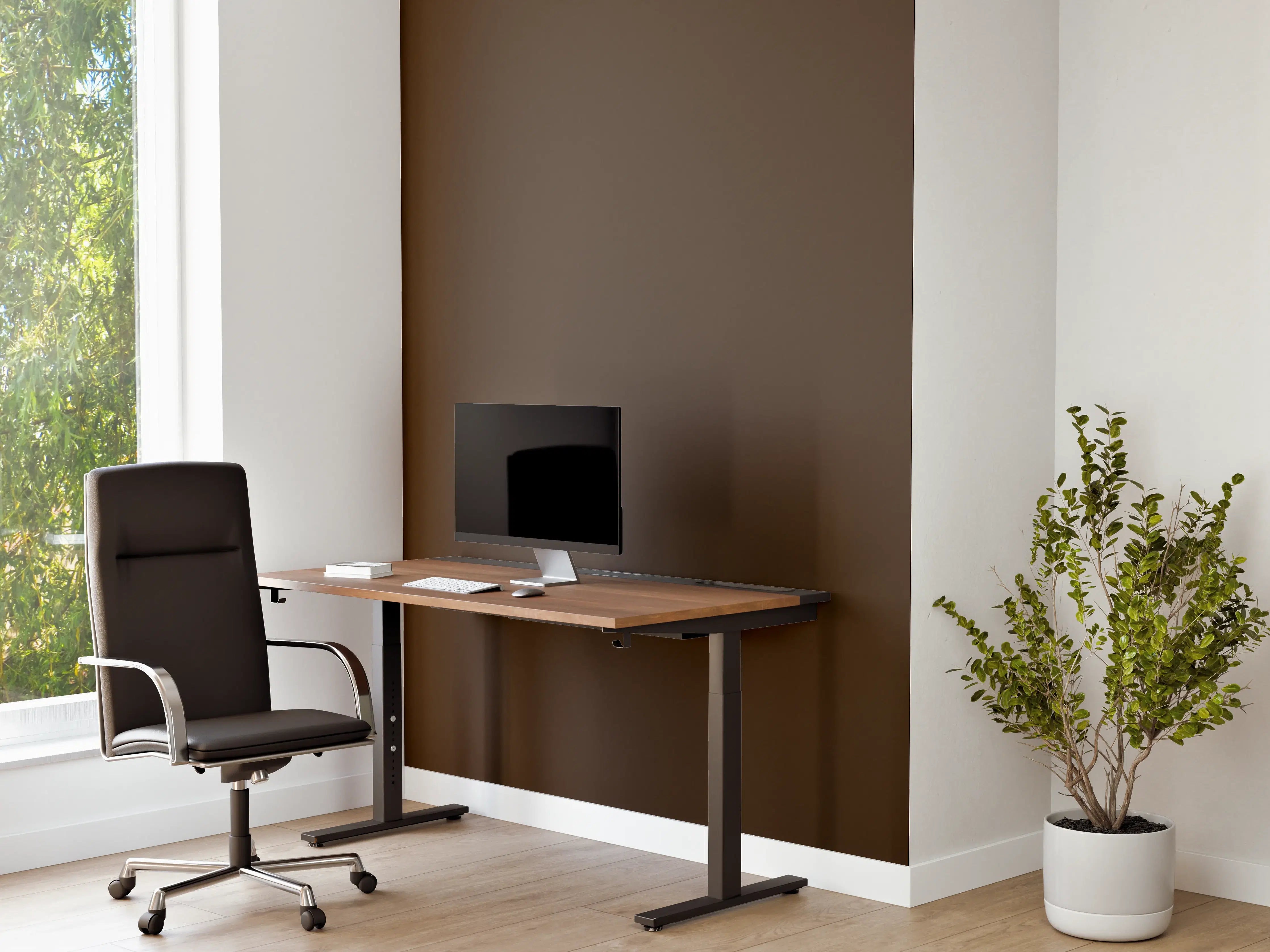 Büro Wandgestaltung - RAL 8014 (Sepiabraun)
