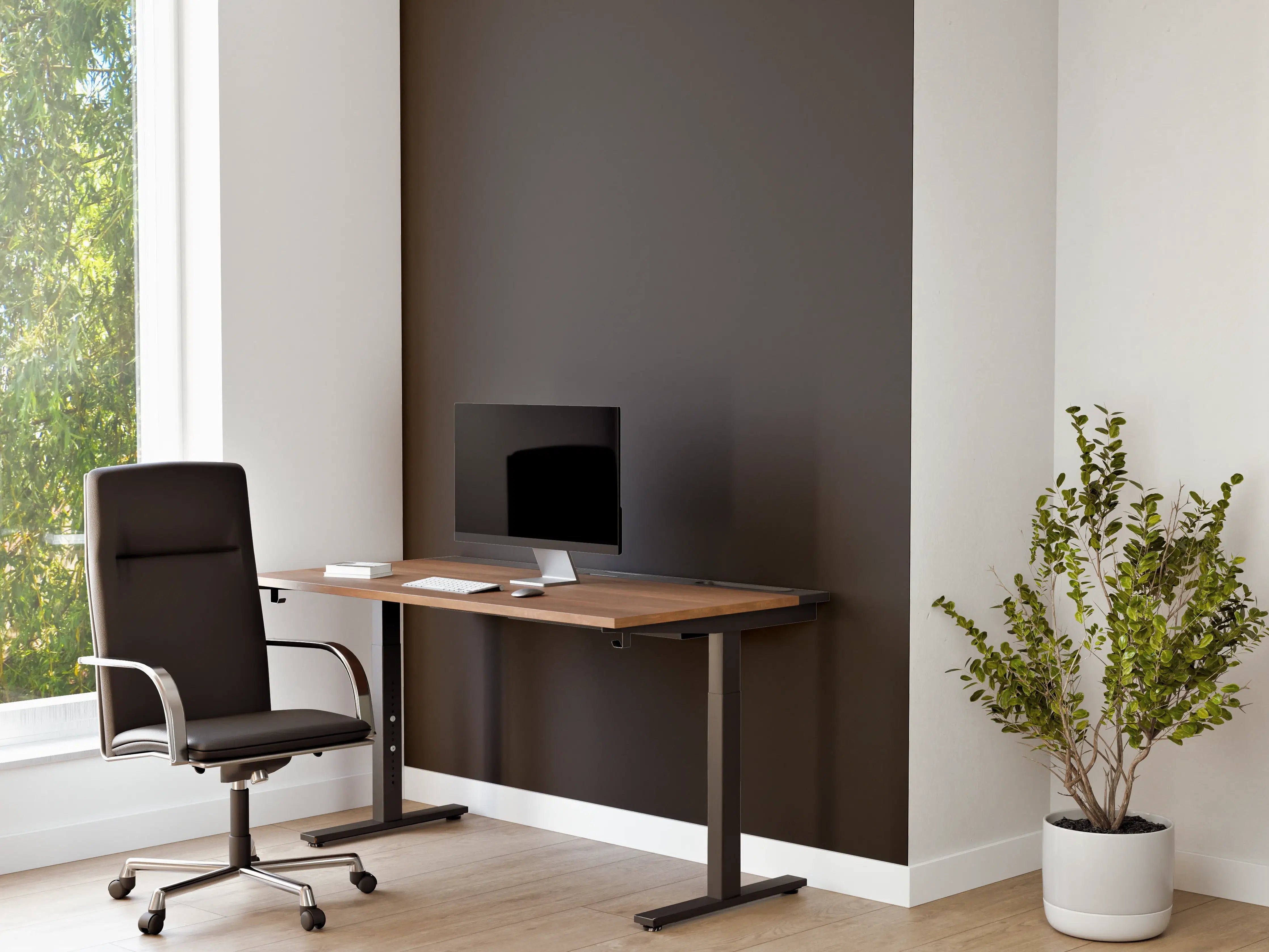 Büro Wandgestaltung - RAL 8019 (Graubraun)
