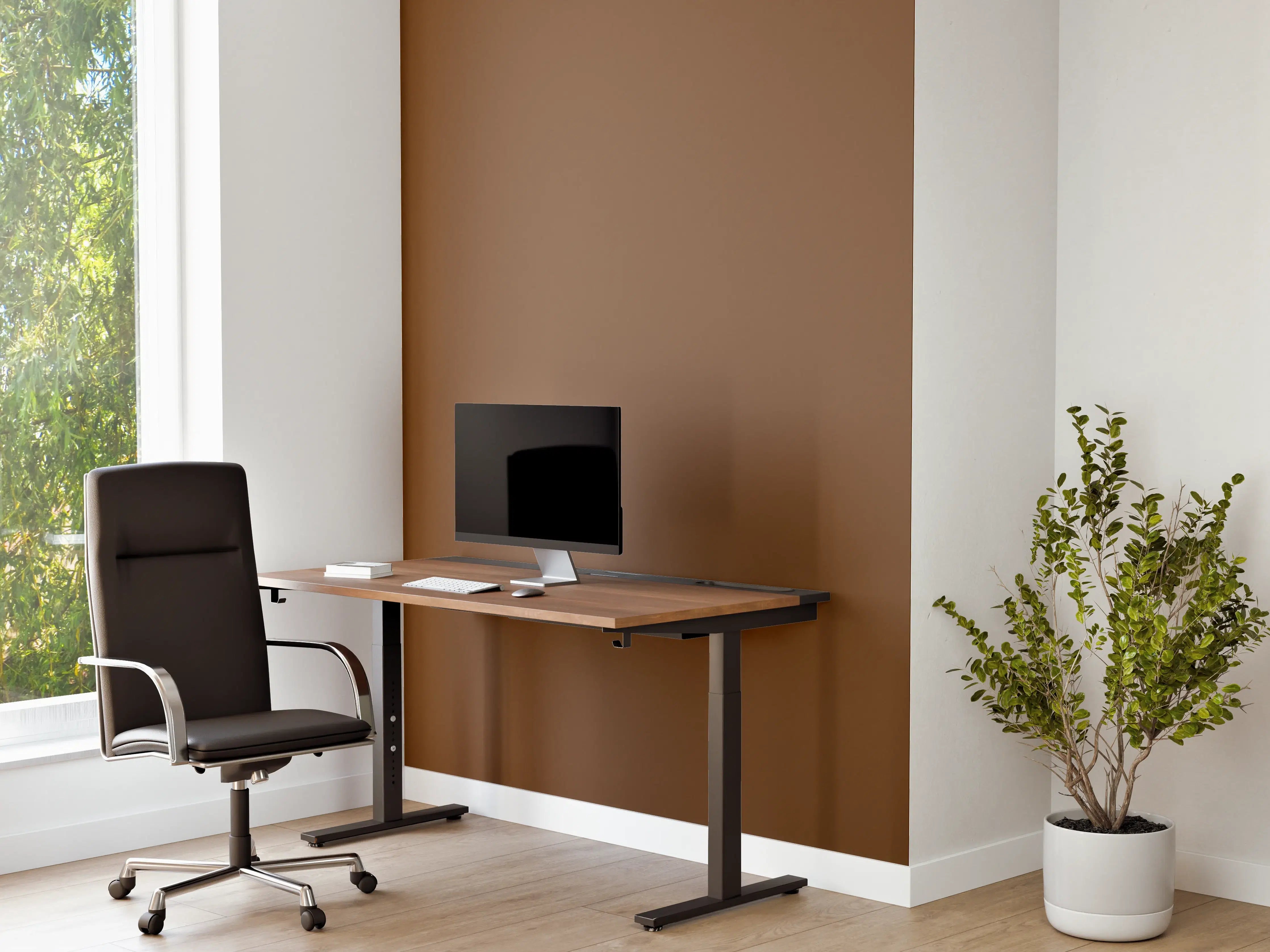 Büro Wandgestaltung - RAL 8024 (Beigebraun)