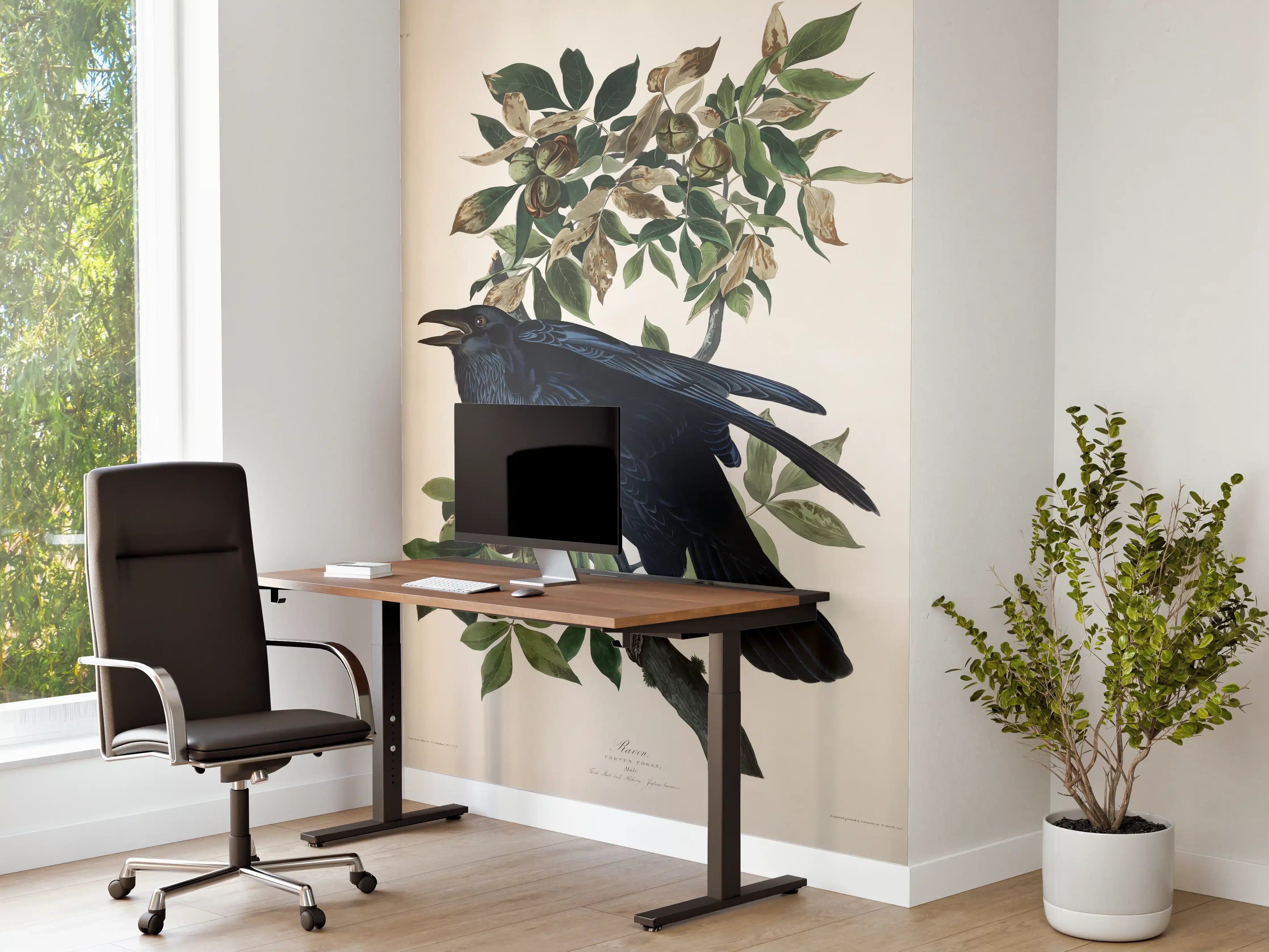 Büro Wandgestaltung - Raben Portrait - John James Audubon
