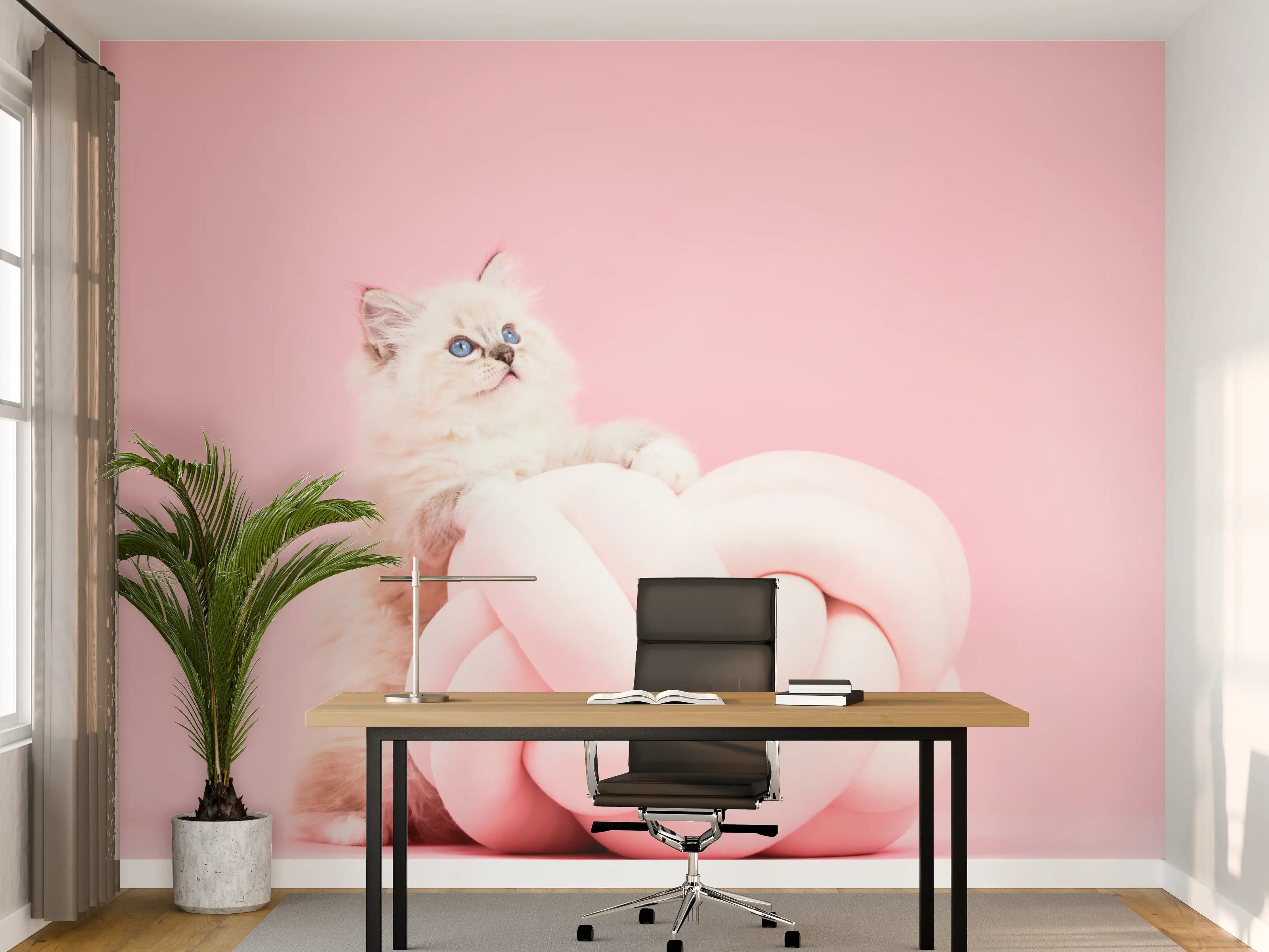 Büro Wandgestaltung - Ragdoll Katze auf Pinken Hintergrund