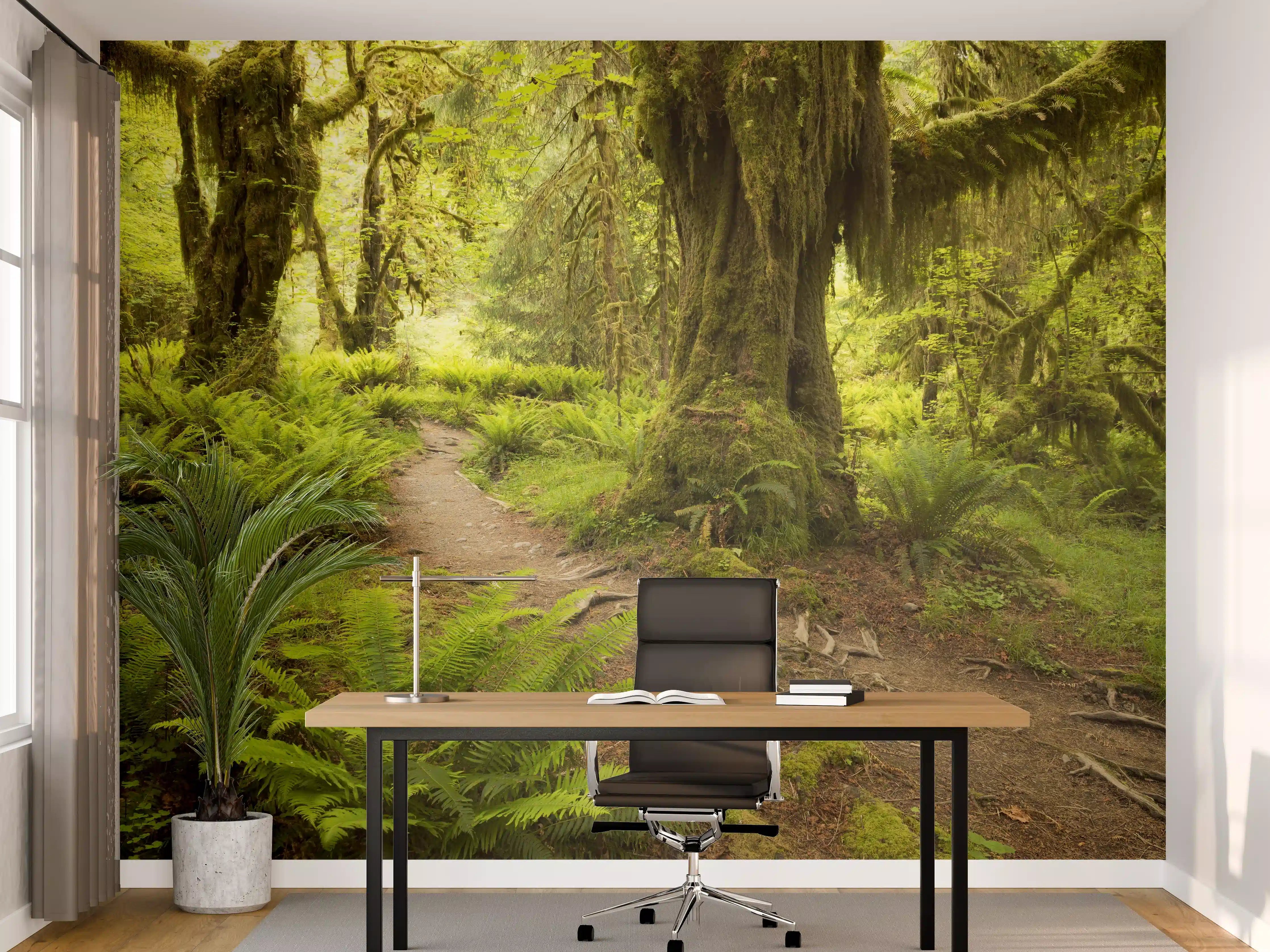 Büro Wandgestaltung - Regenwald in Amerika