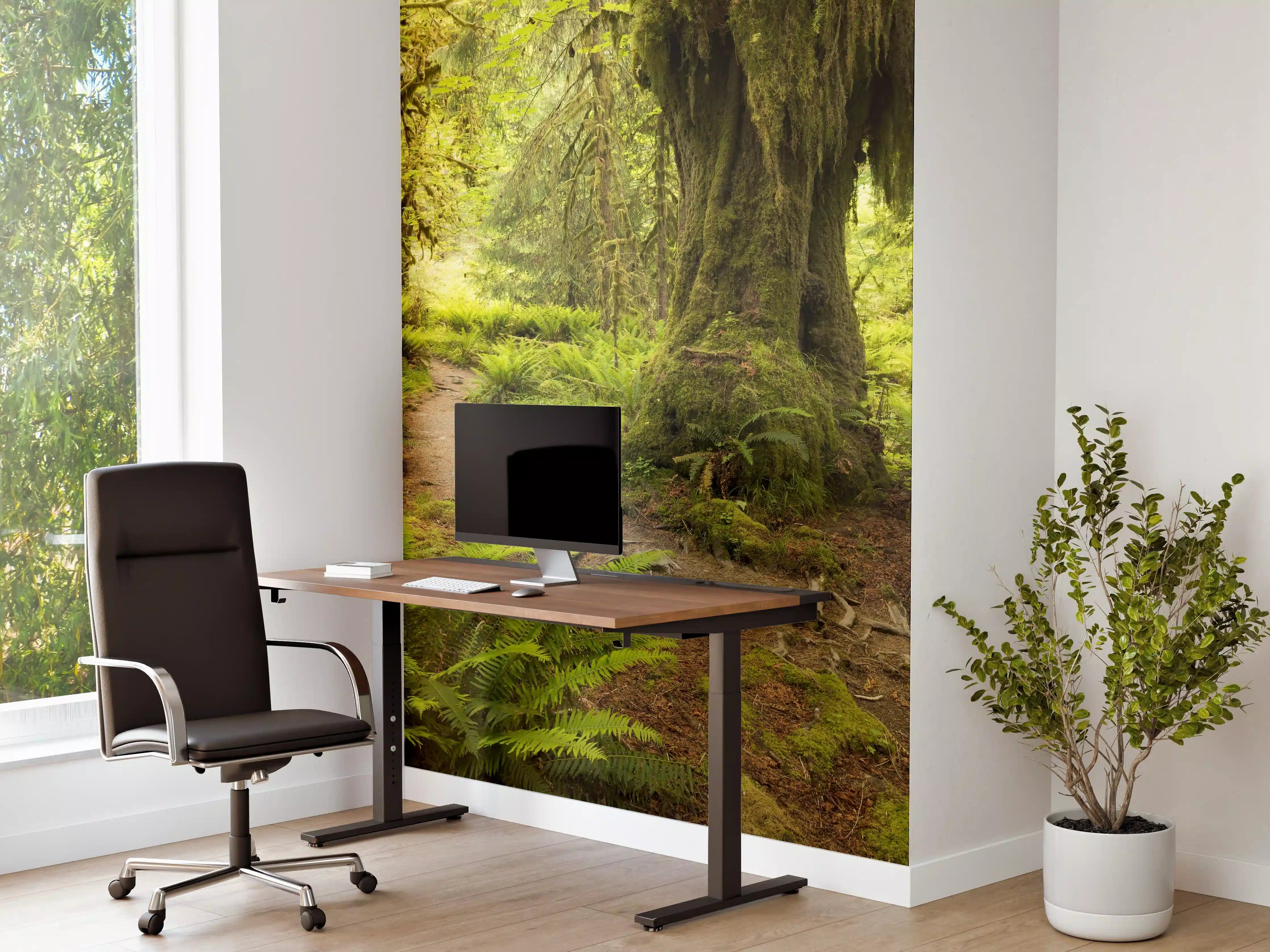 Büro Wandgestaltung - Regenwald in Amerika
