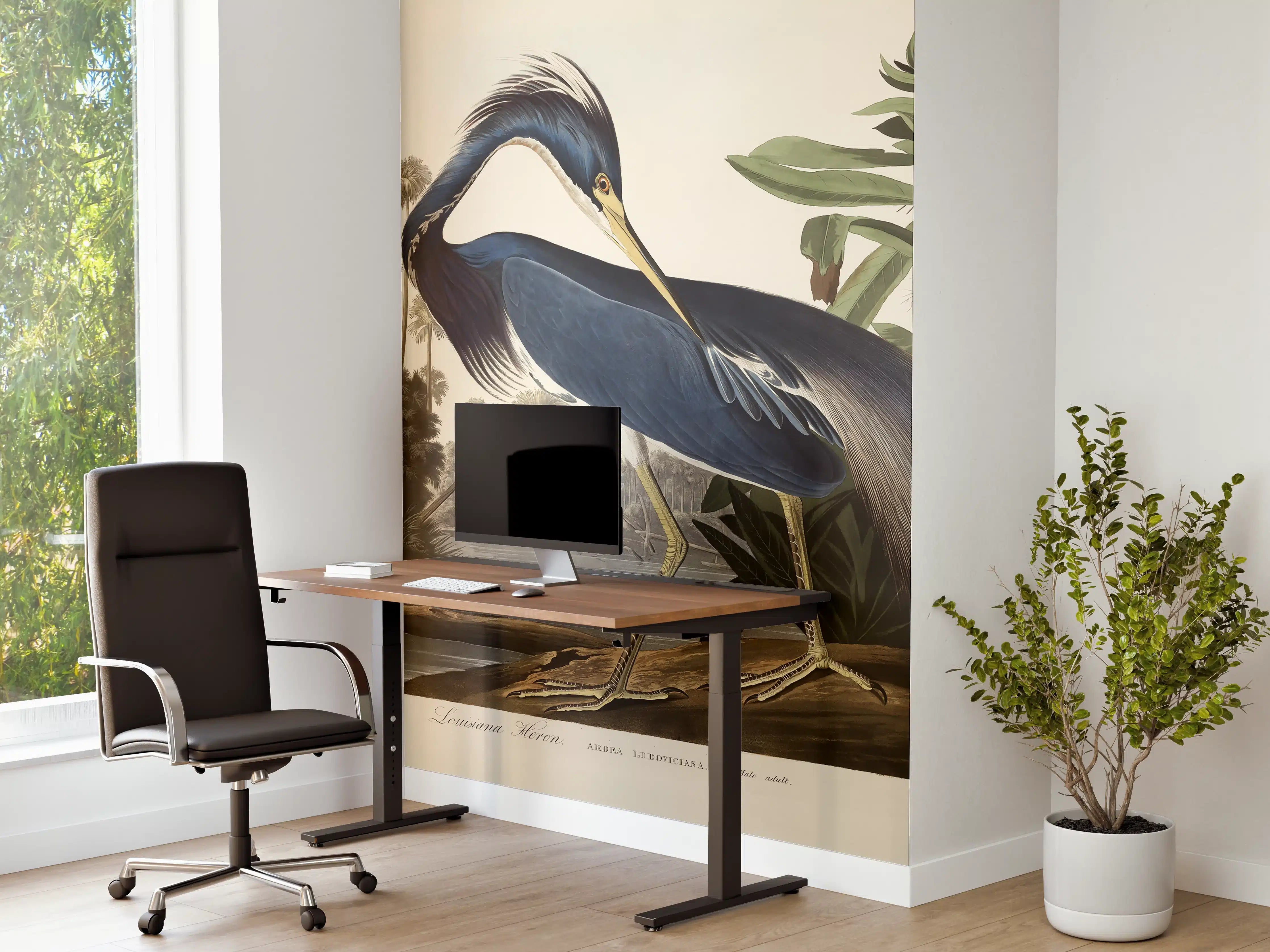 Büro Wandgestaltung - Reiher Portrait - John James Audubon