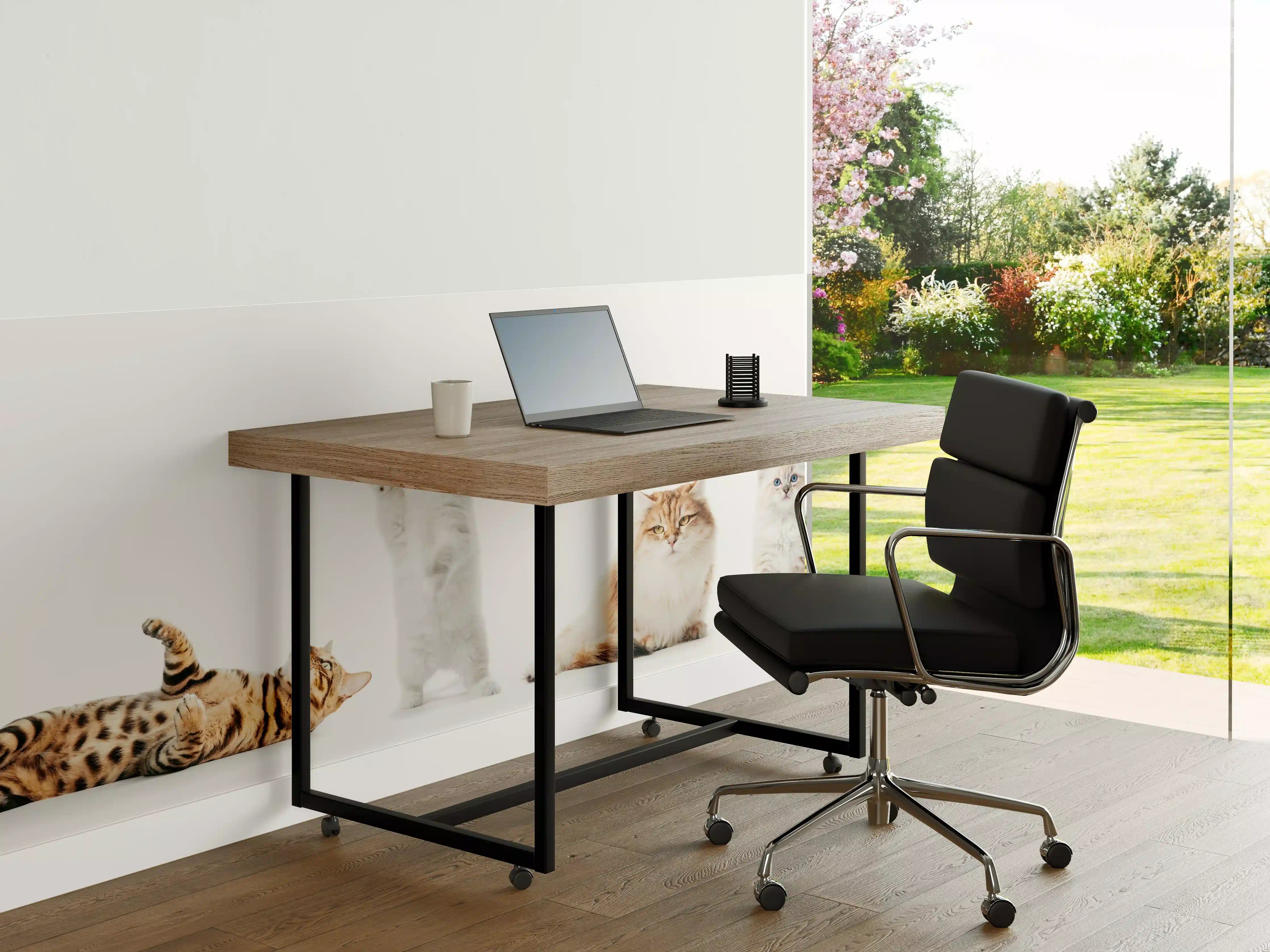 Büro Wandgestaltung - Reinrassige Katzen Weiß-Sammlung
