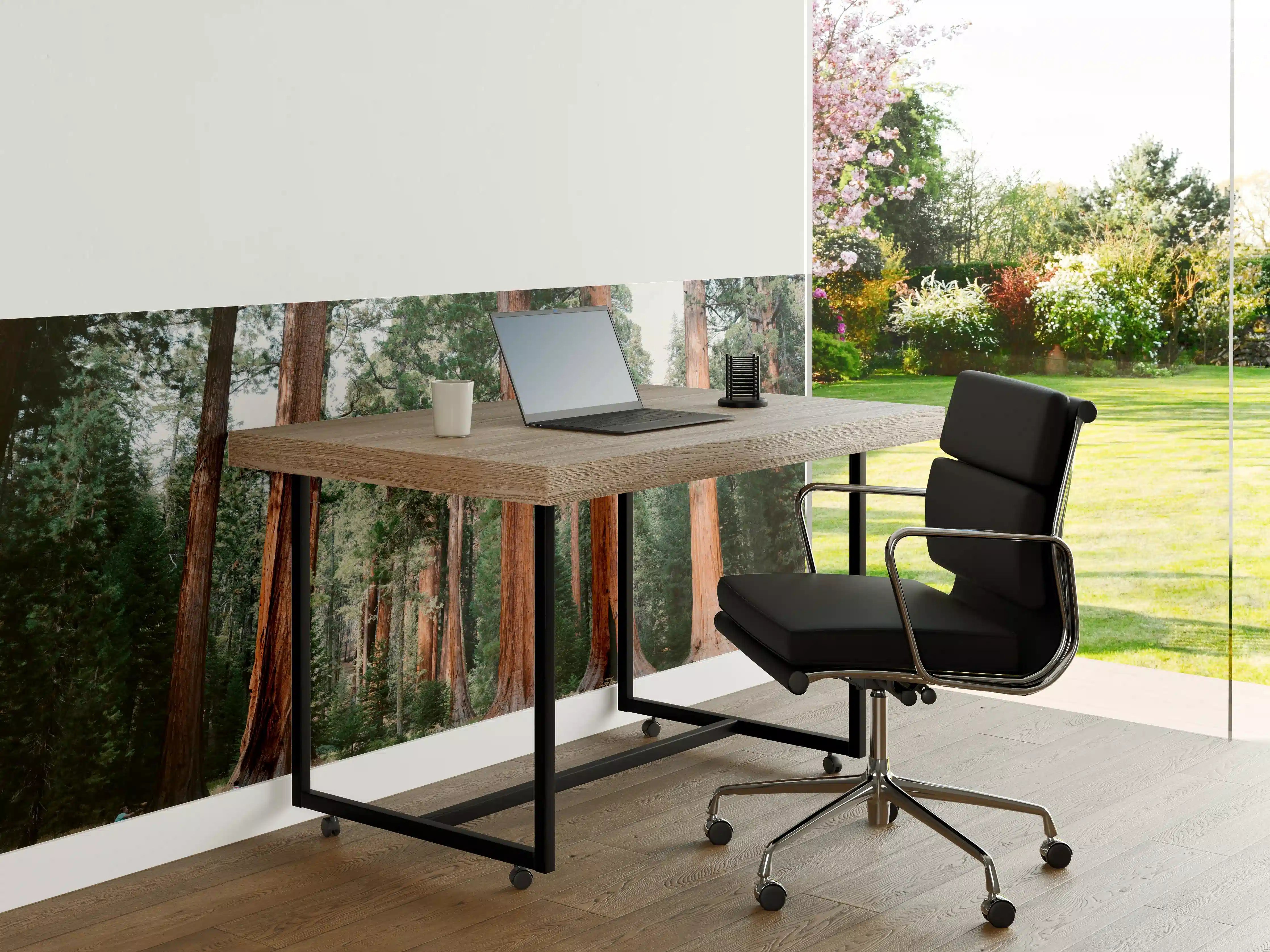 Büro Wandgestaltung - Riesenmammutbäume im Sequoia-Nationalpark