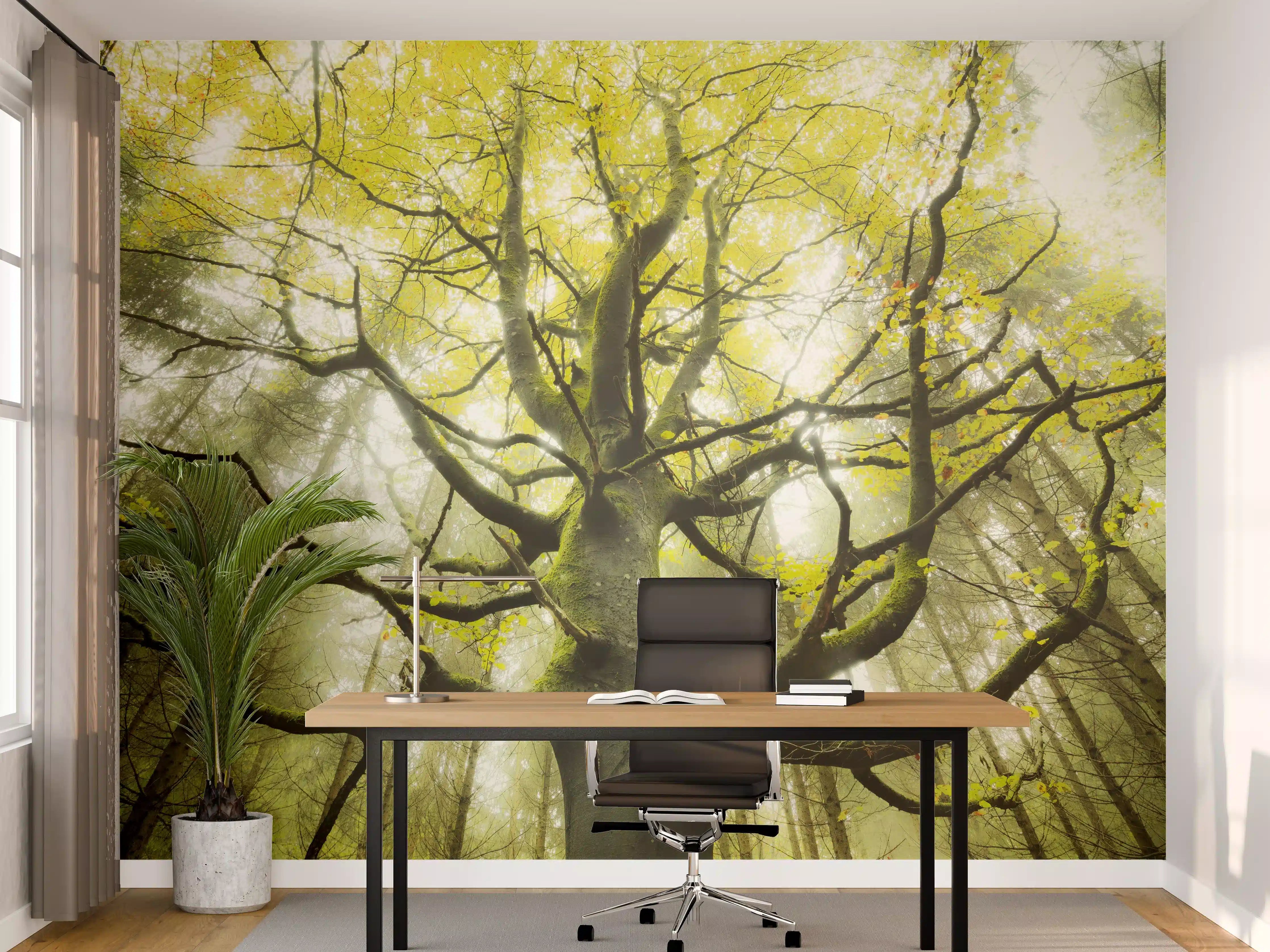 Büro Wandgestaltung - Riesiger Baum in Bayern