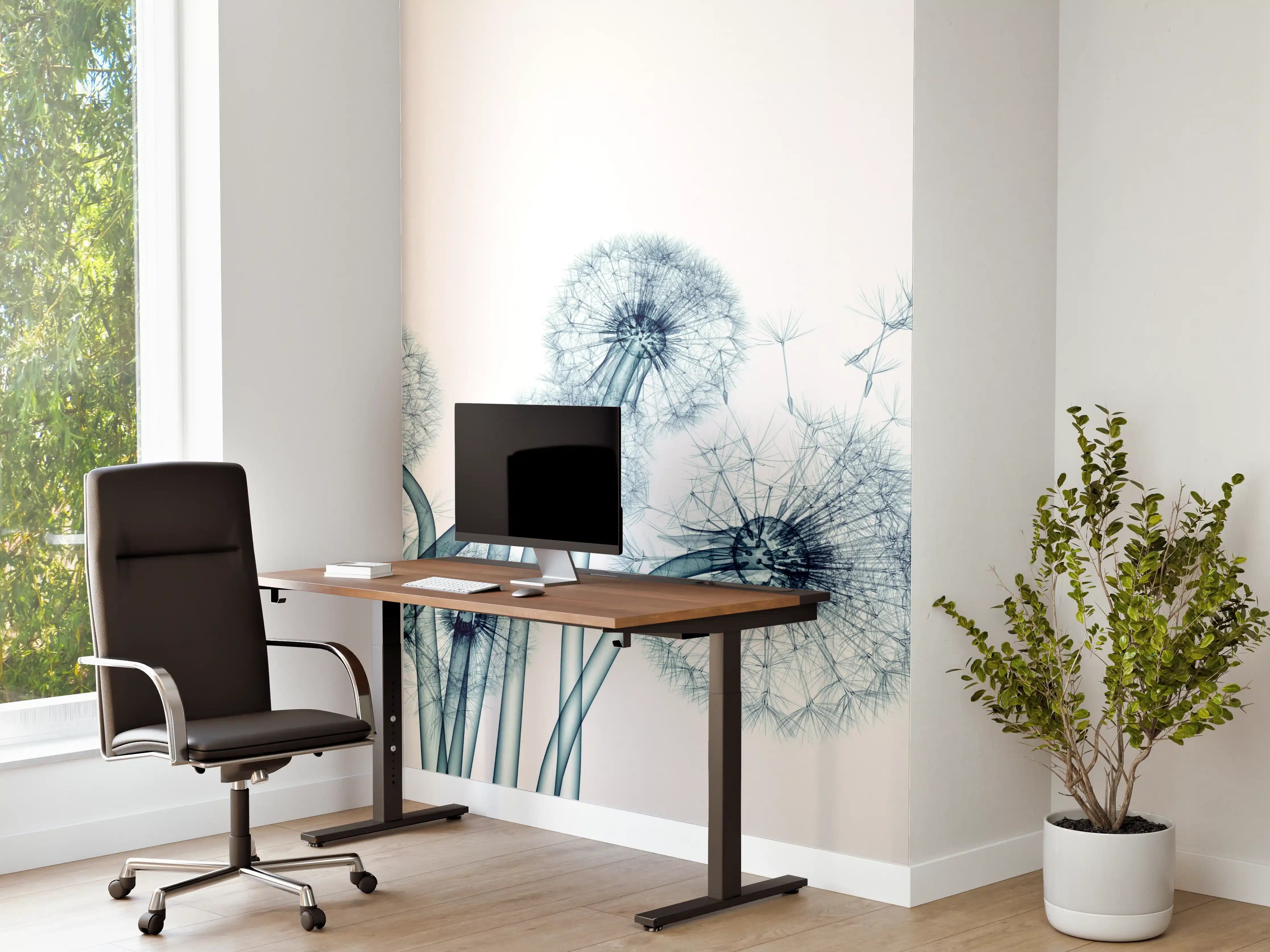 Büro Wandgestaltung - Röntgenbild eines Löwenzahns