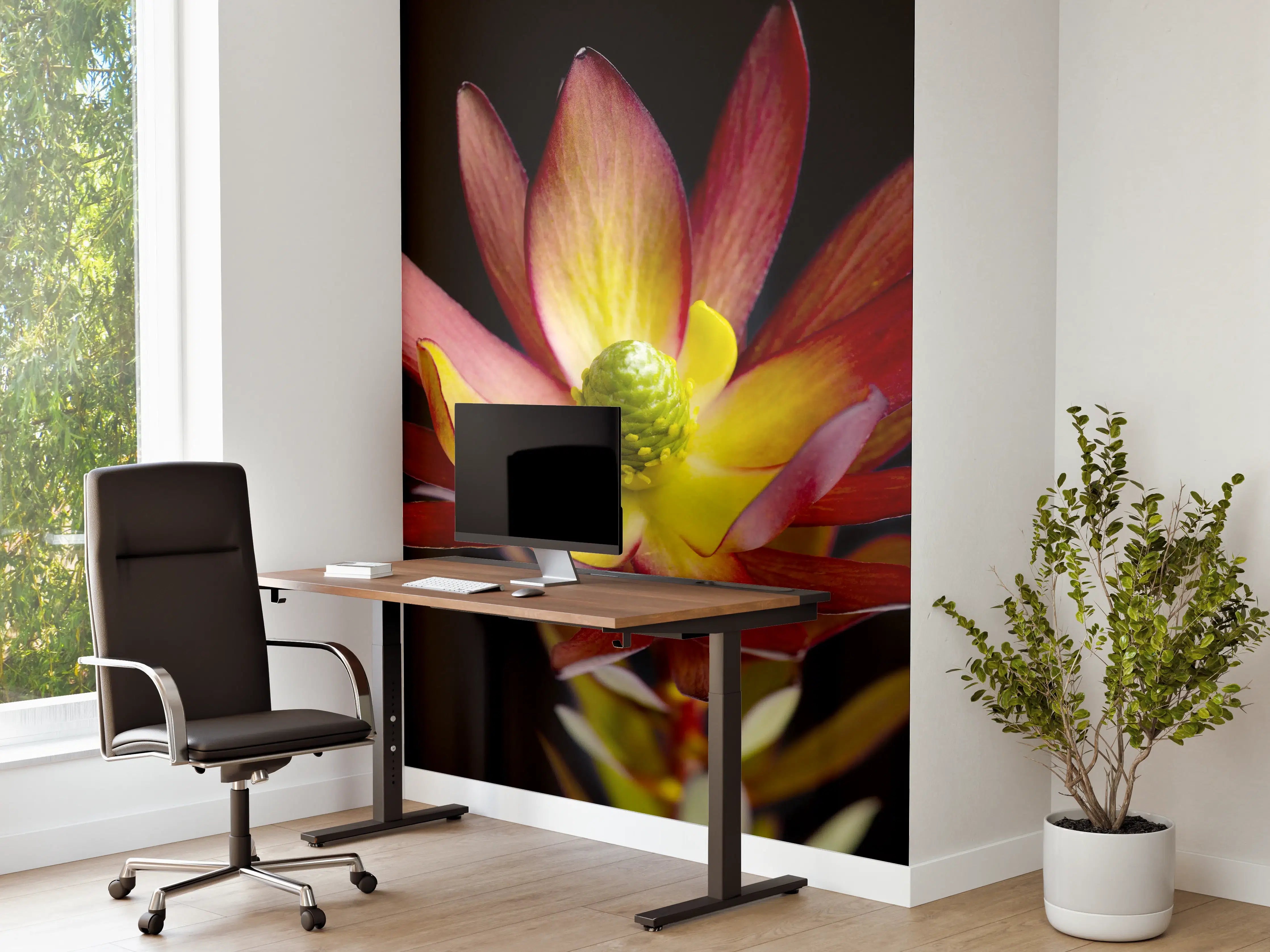 Büro Wandgestaltung - Rötliche aufblühende Lotosblume