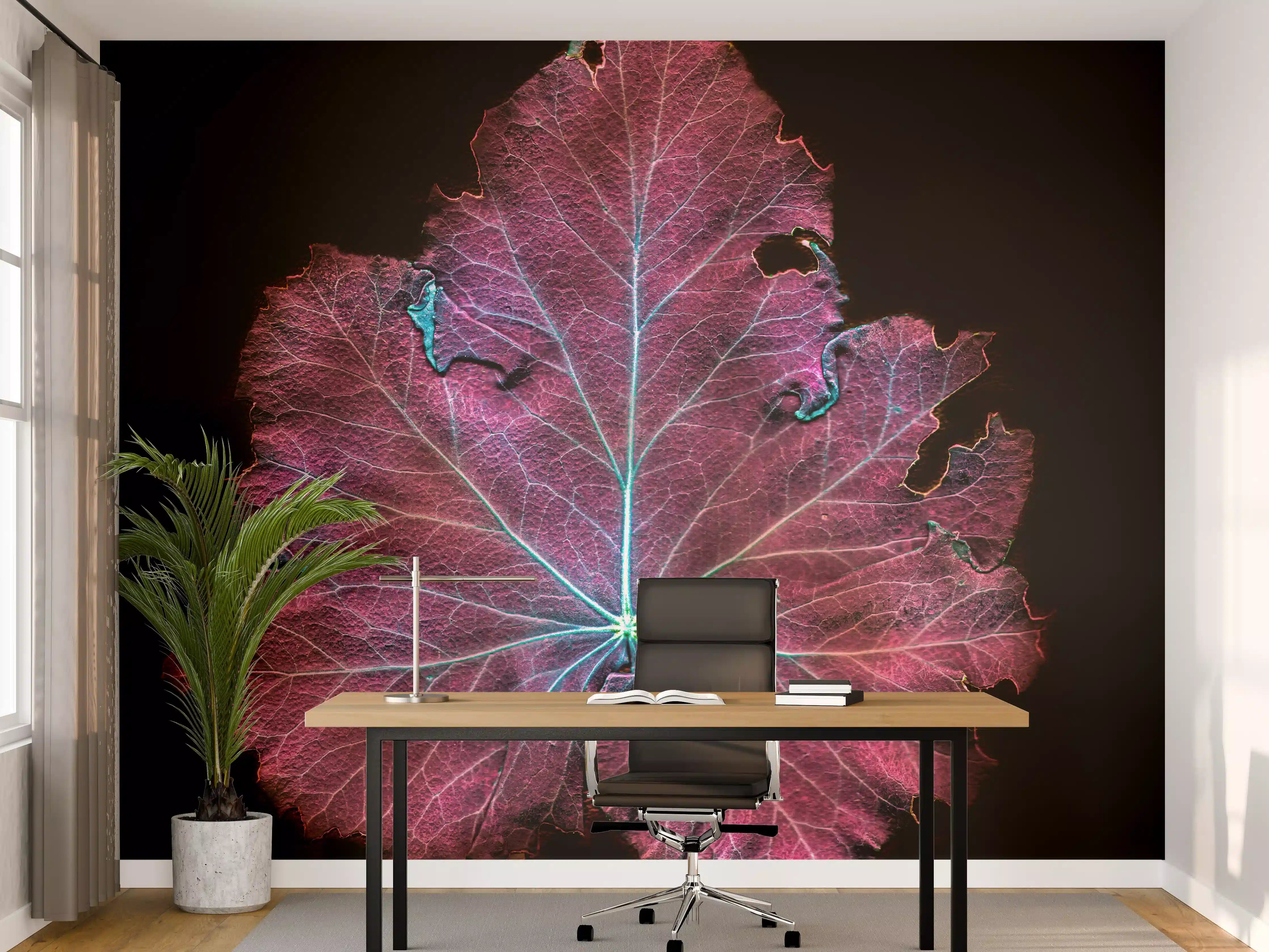 Büro Wandgestaltung - Rötliches Blatt auf schwarzem Hintergrund