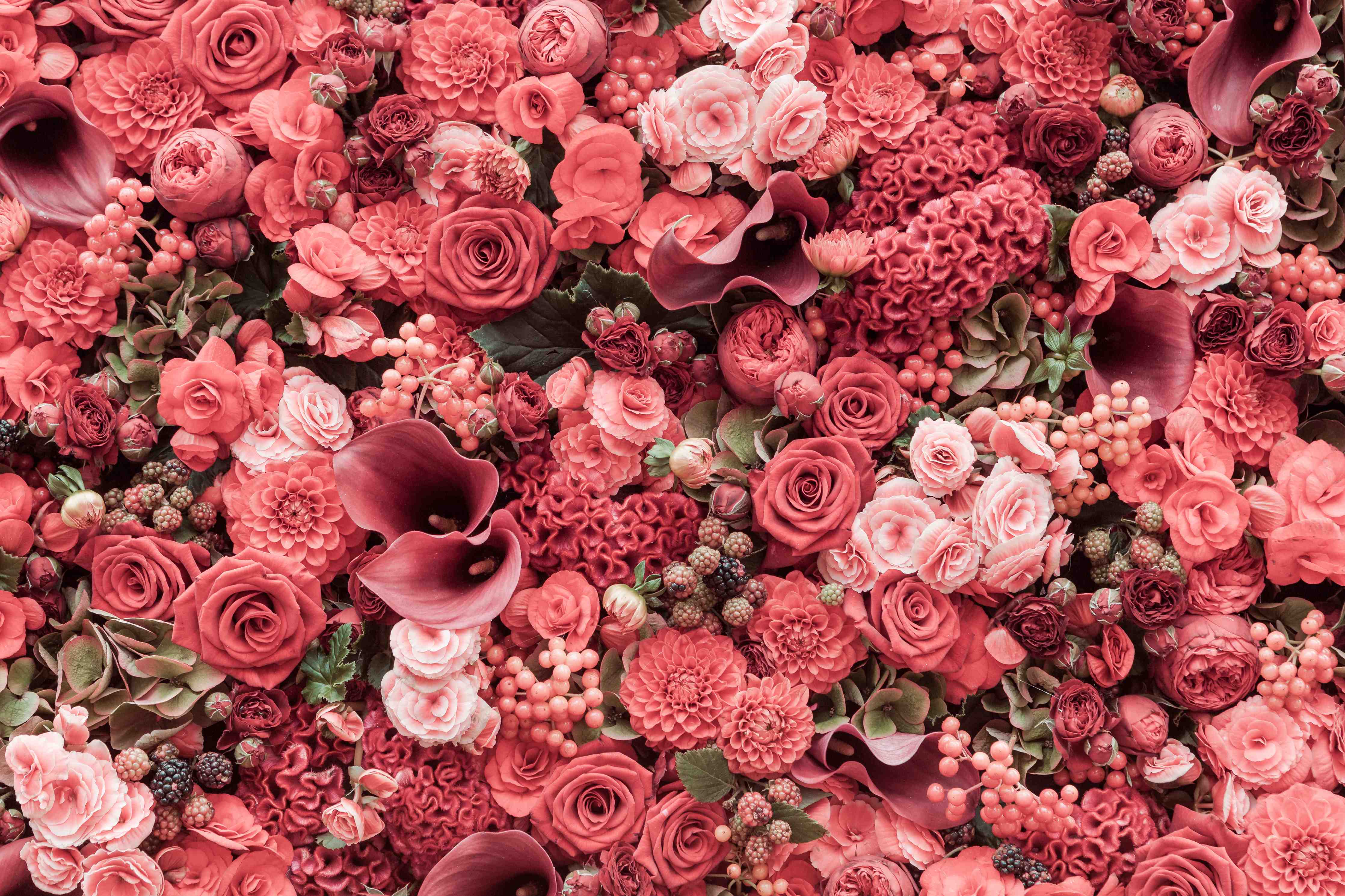 Büro Wandgestaltung-Romantische Blumenpracht in Rot- und Rosatönen