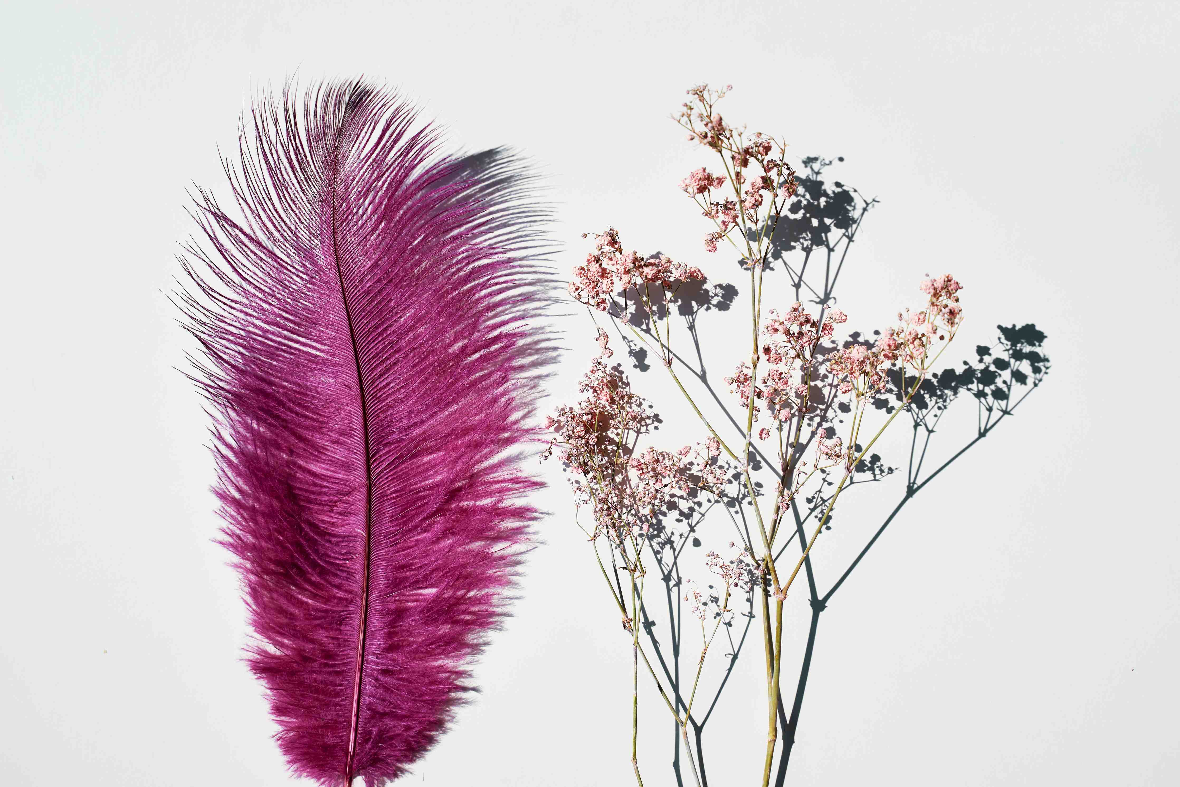Büro Wandgestaltung-Rosa Feder und Trockenblumen 