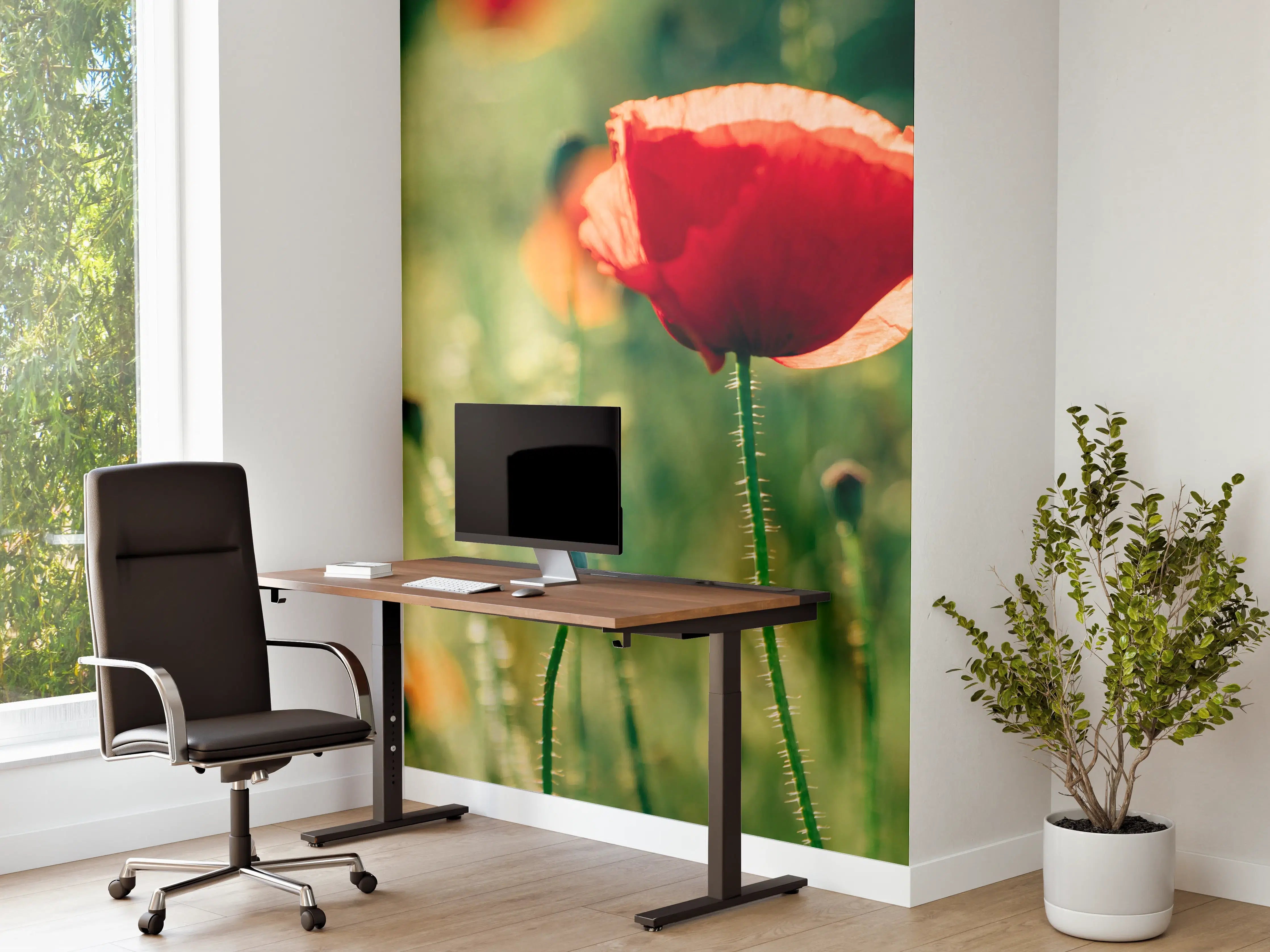 Büro Wandgestaltung - Rote Mohnblumen Sommerwiese